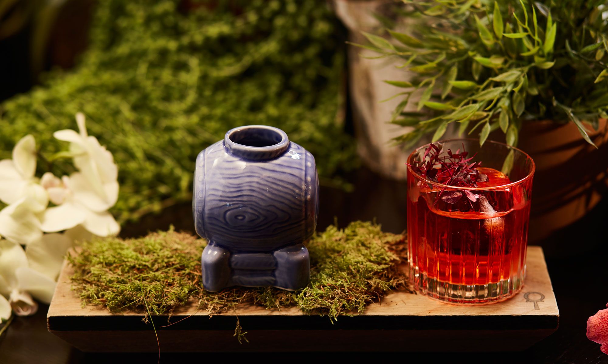 Aqua To Collaborate With Tanqueray No Ten For Botanical Hanging
