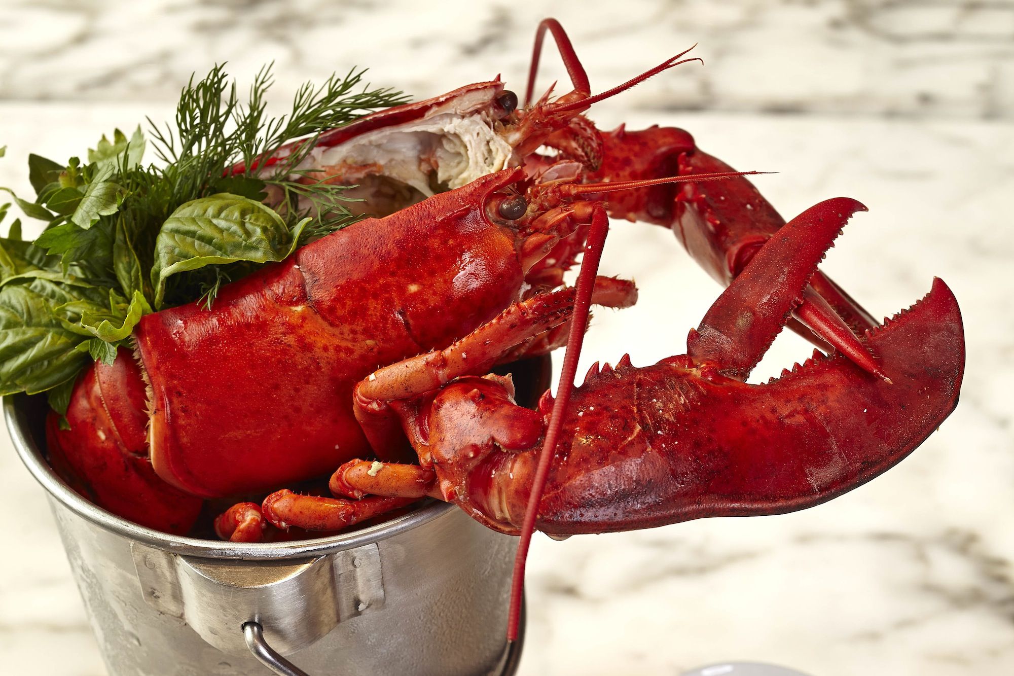 Mandarin Oriental Hong Kong’s Lobster and Bubbles Popup Menu Returns