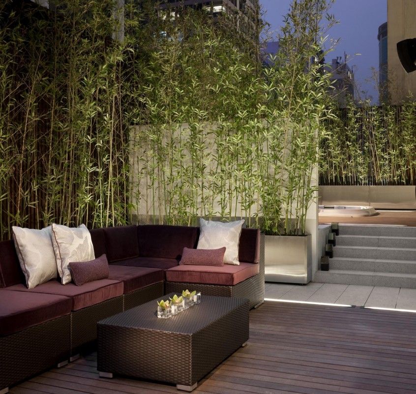 Platinum Suite