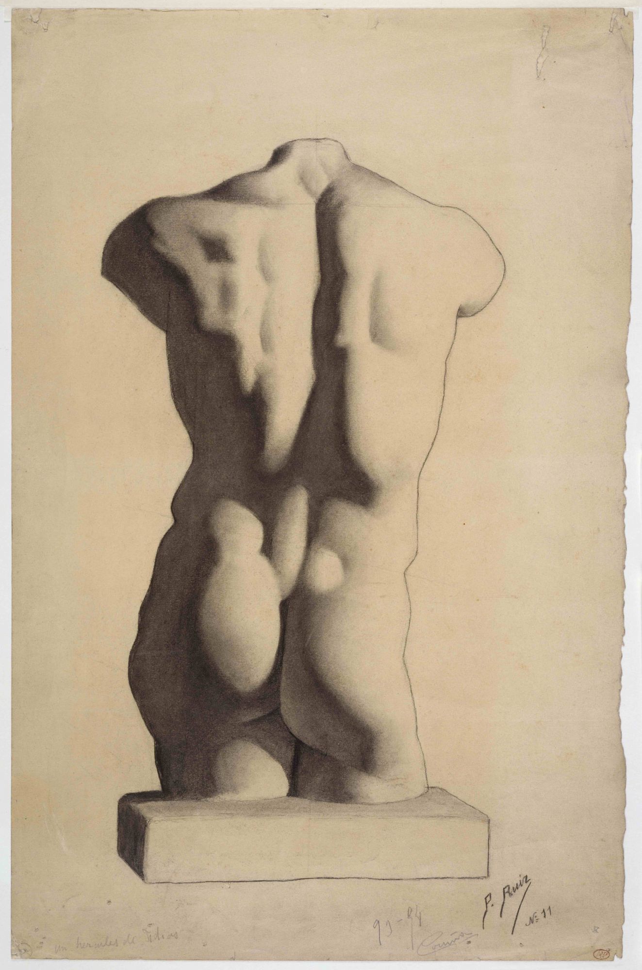 Pablo Picasso, Academic Study of a Plaster after the Antique (1893-1894). (Courtesy of Musée national Picasso-Paris. © Succession Picasso 2019)