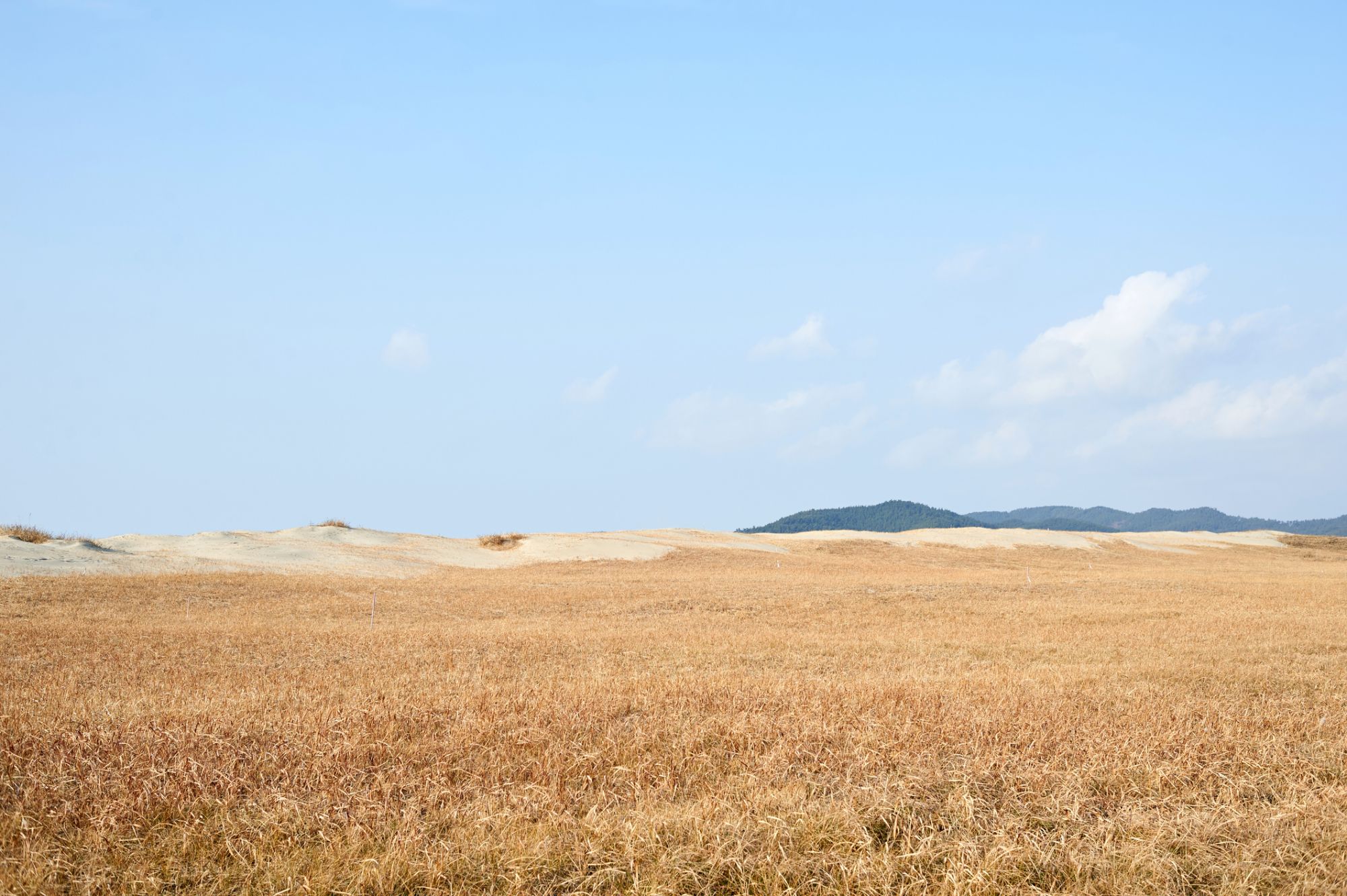 Sindu-ri Coastal Sand Hills in Taean-gun, South Korea.