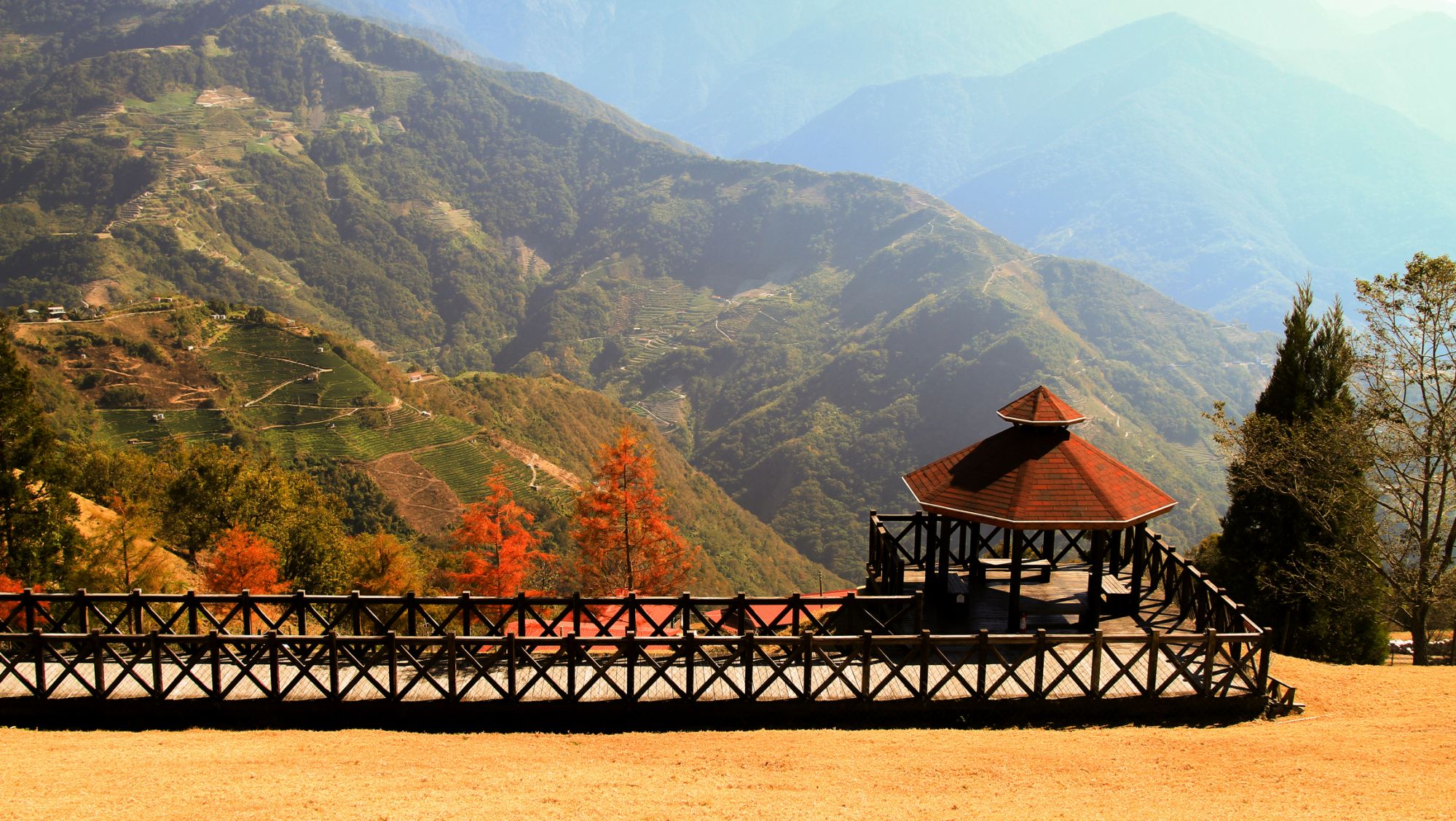 Autumn in Chingjing , Taichung