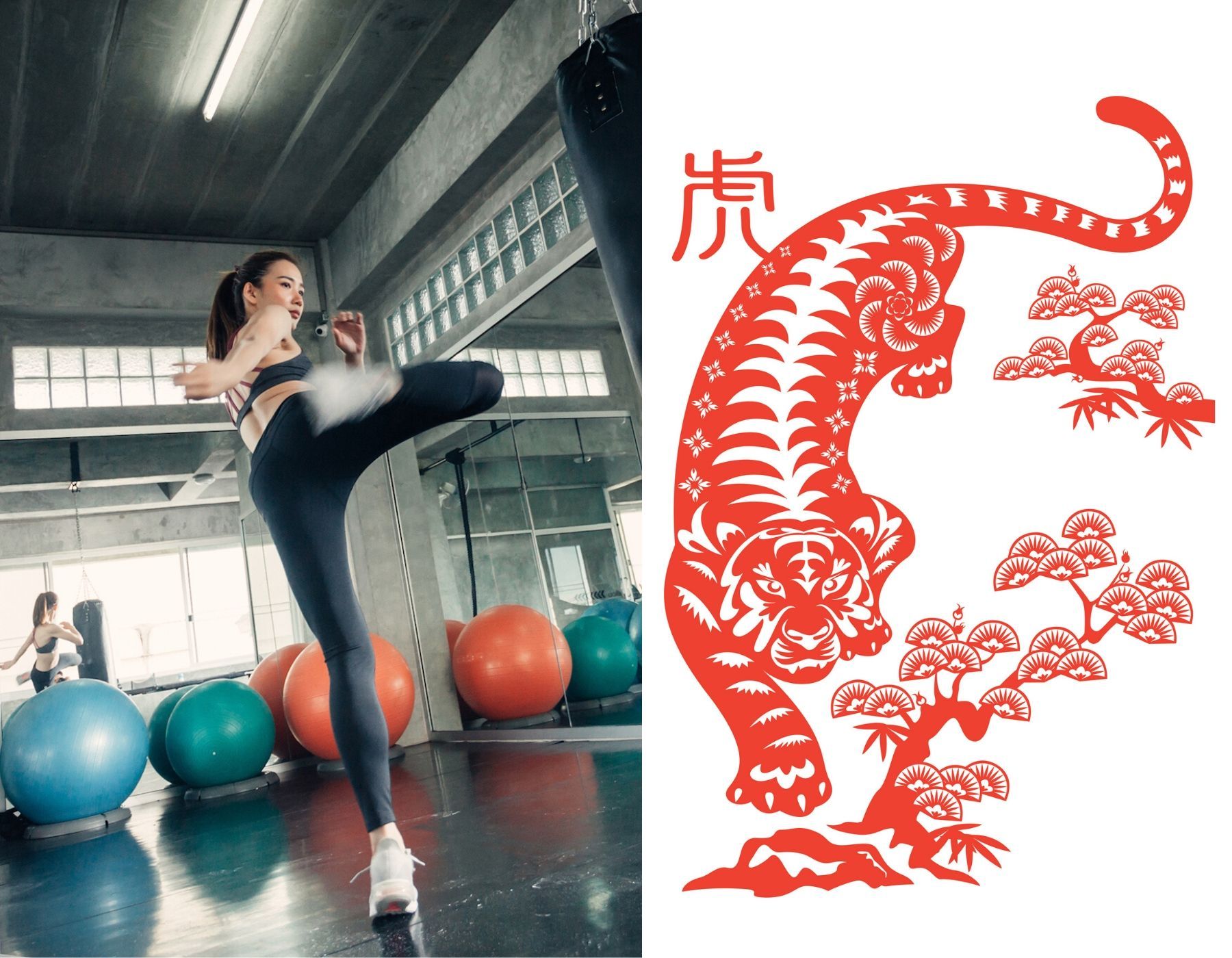 Which Workout You Should Try In 2020 Based On Your Chinese Zodiac Sign Which Workout You Should Try In 2020 Based On Your Chinese Zodiac Sign