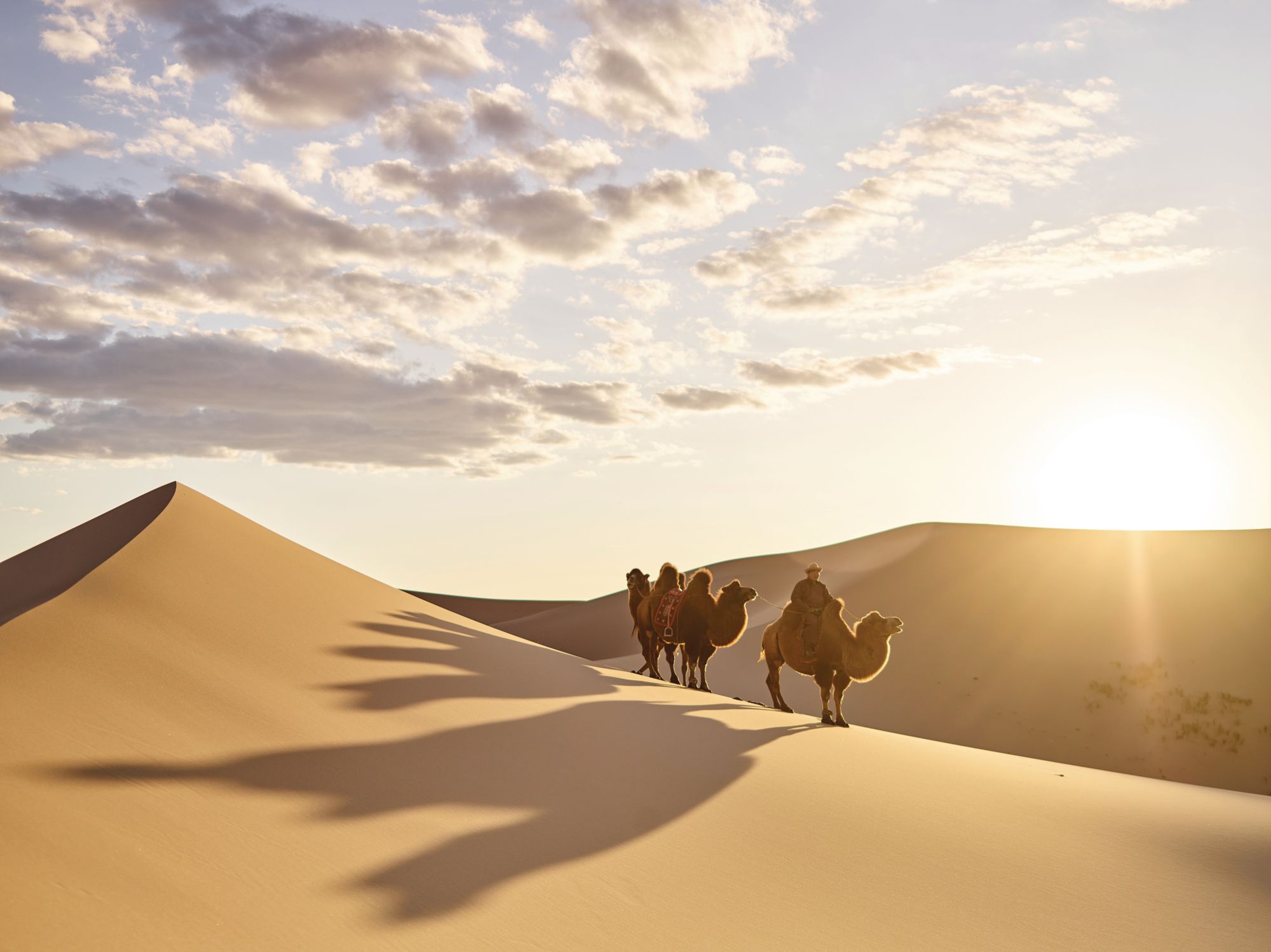 In Pictures: The Breathtaking Beauty of Mongolia, An Adventurous ...