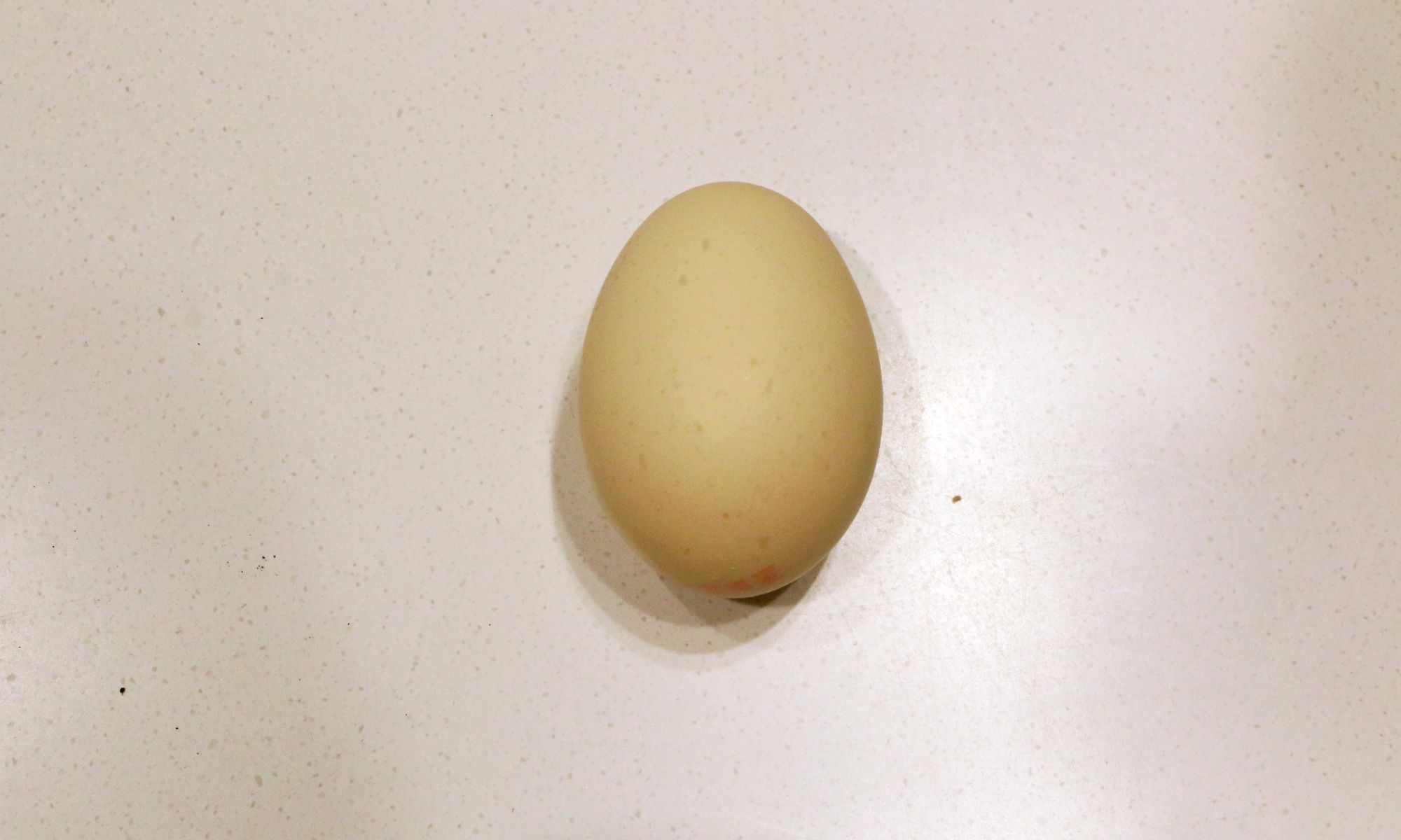 Qingyuan Free Range Chicken Egg