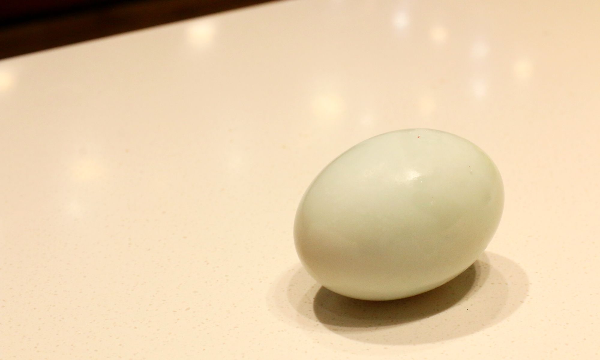 Brined Salted Duck Egg