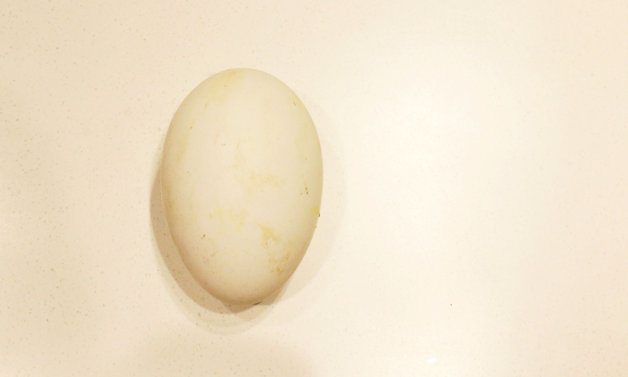 Goose Egg