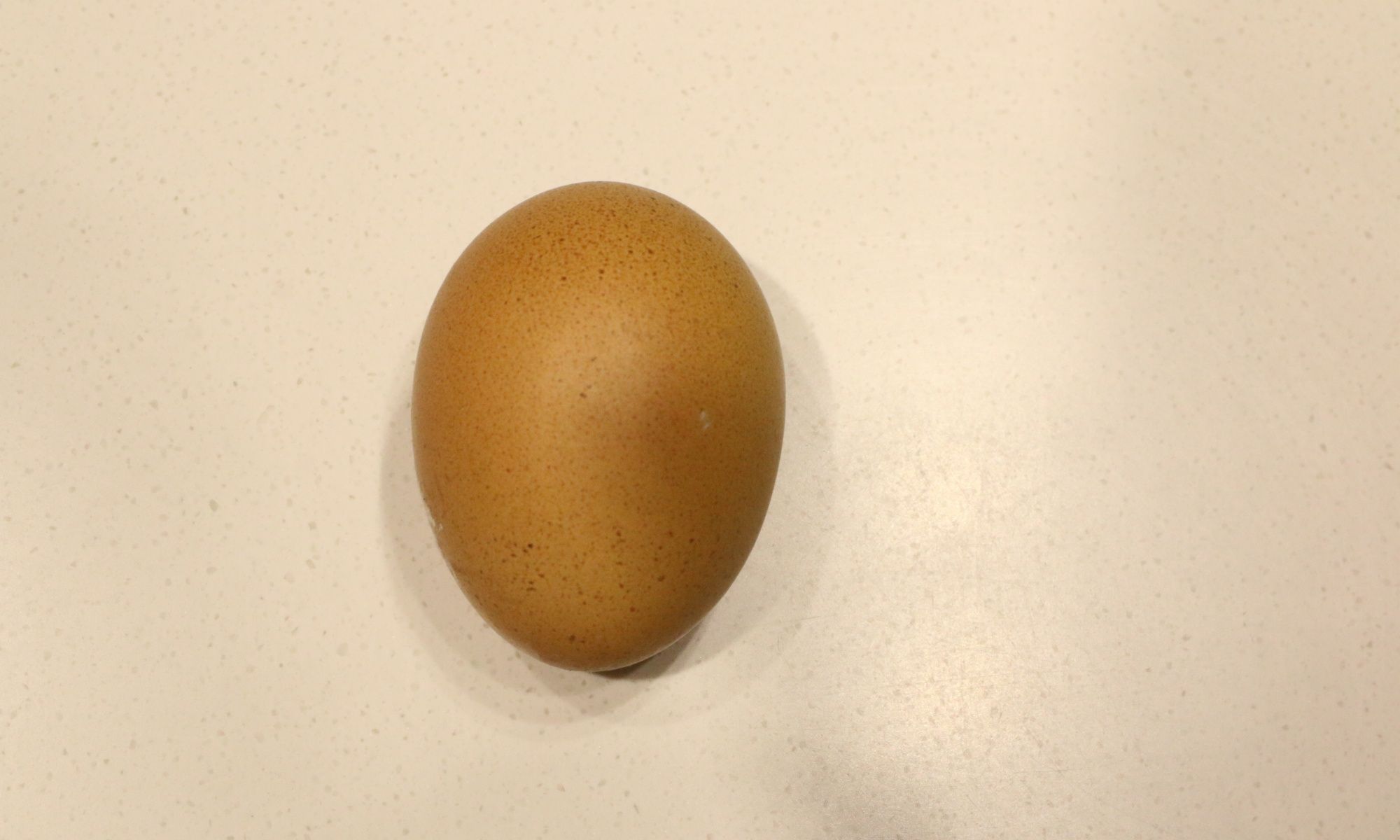 USA Brown Egg