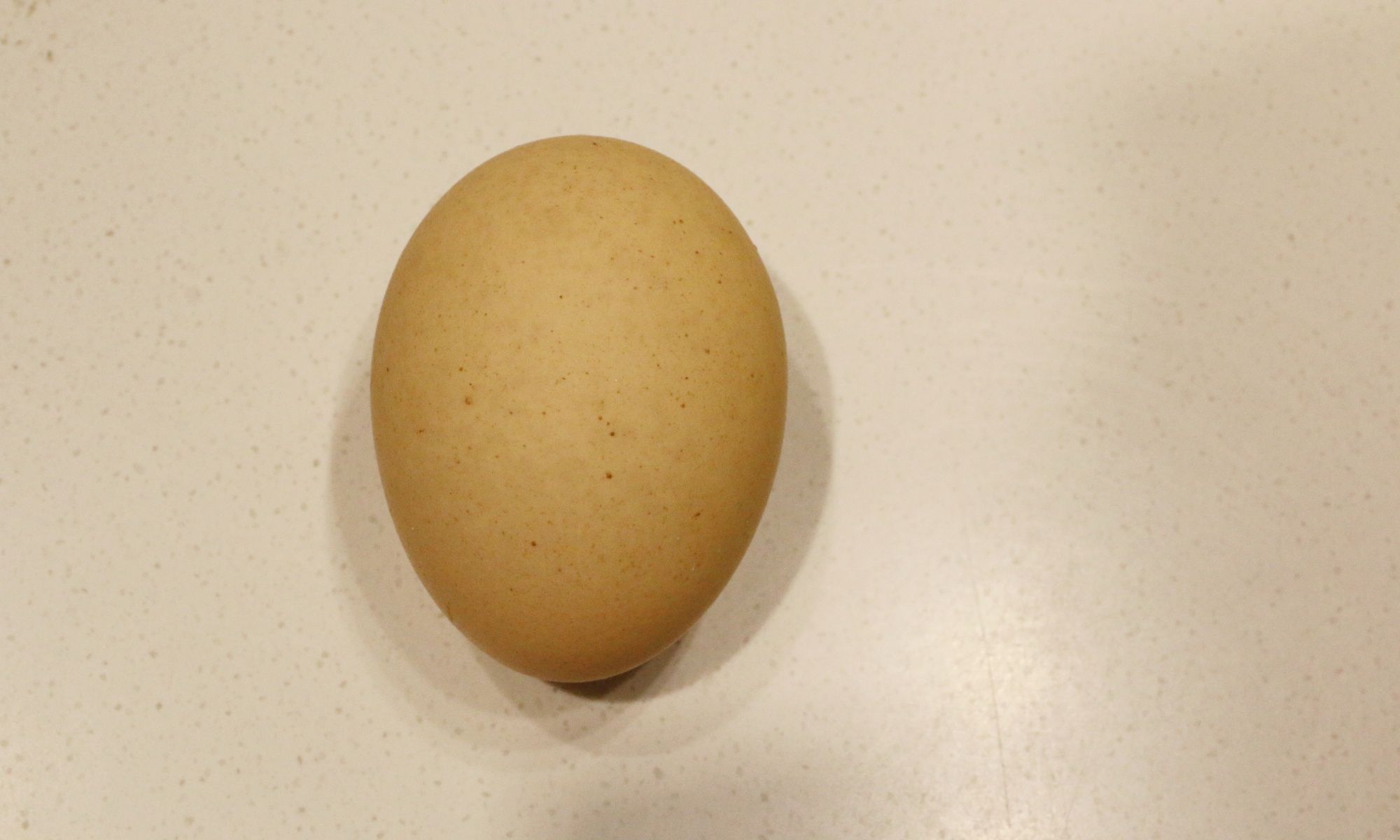 Dongguan Native Egg