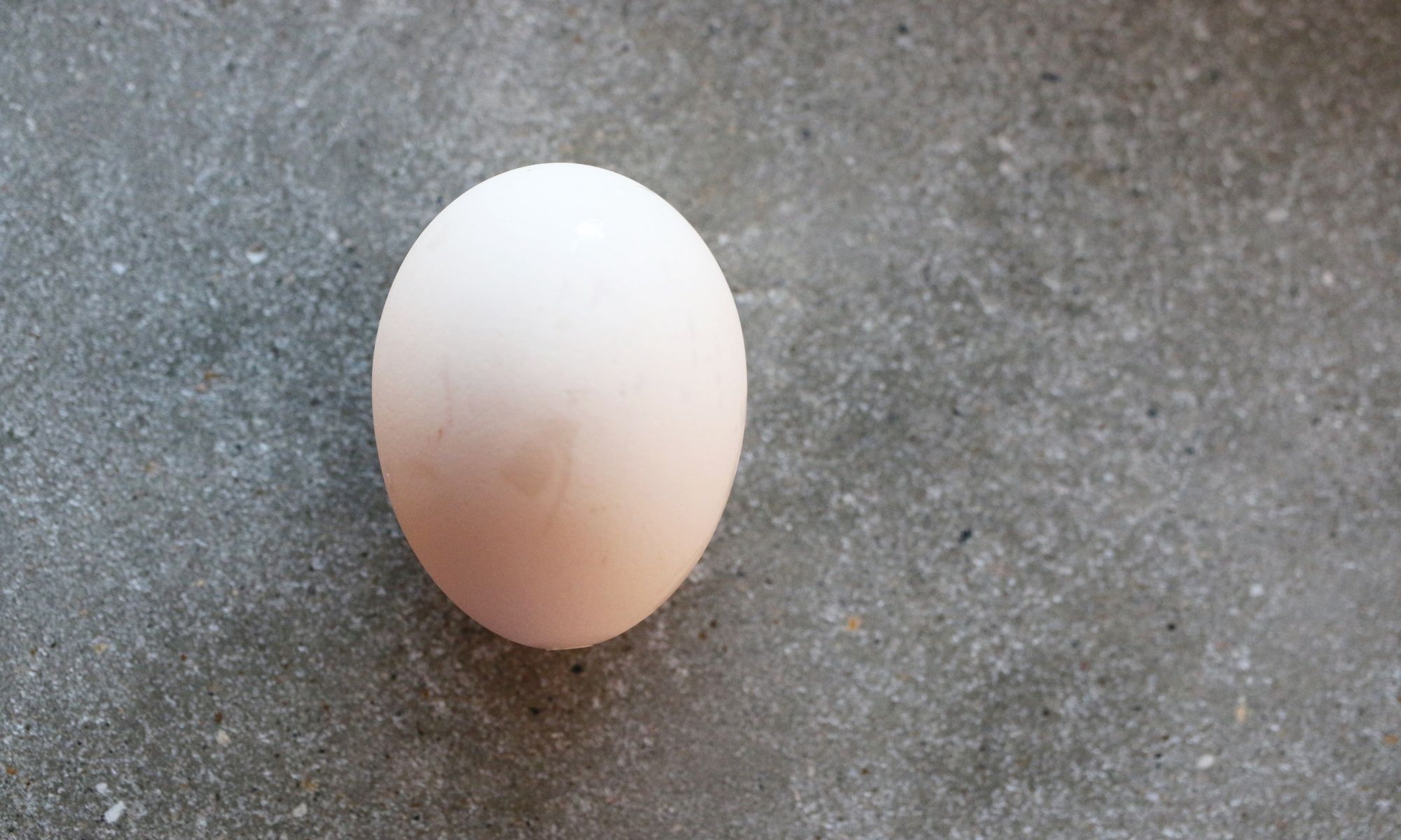 Japanese Eggs