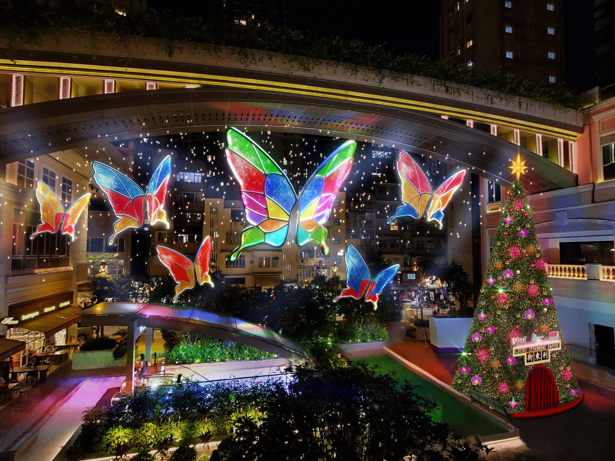 butterflies of hope lee tung avenue
