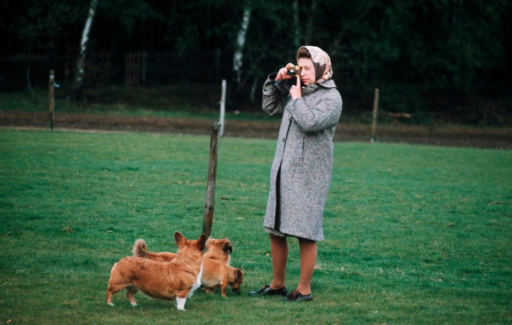 Queen Elizabeth with her corgis and dorgis at Windsor Park in 1960 (Photo by Anwar Hussein/Getty Images)