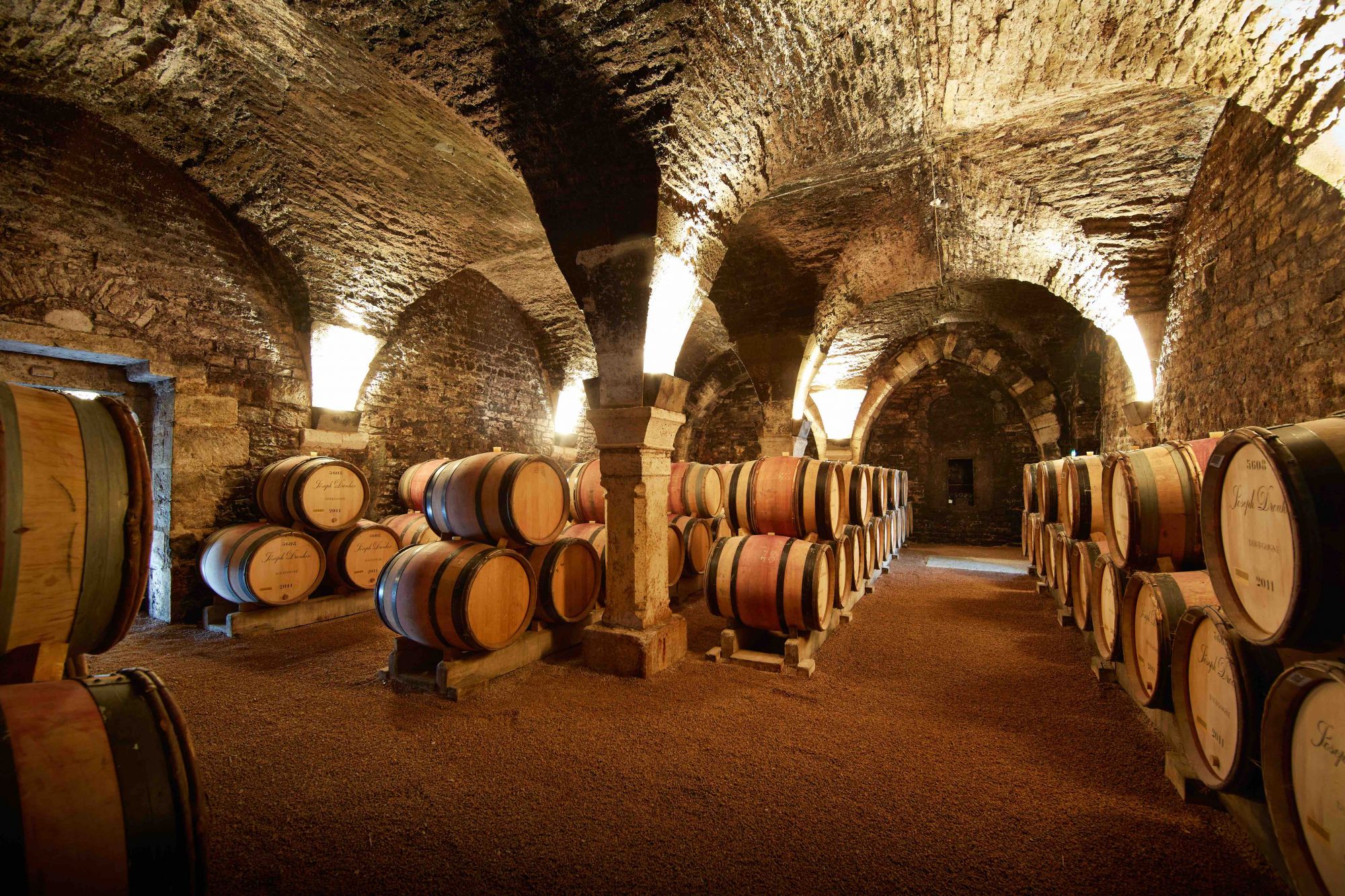 13th Century Cellars at Maison Joseph Drouhin