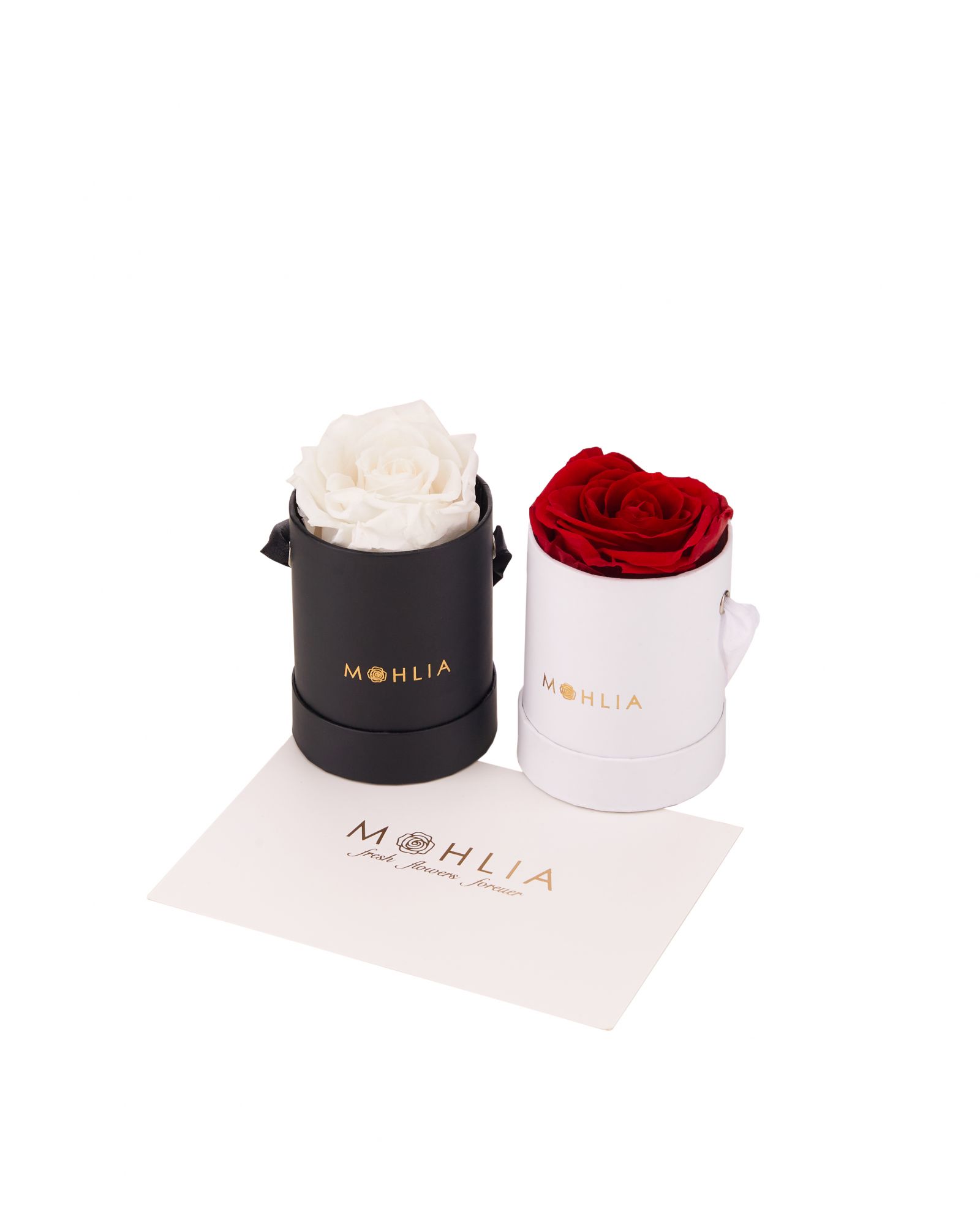 Mohlia is launching a new store in K11 Musea this July
