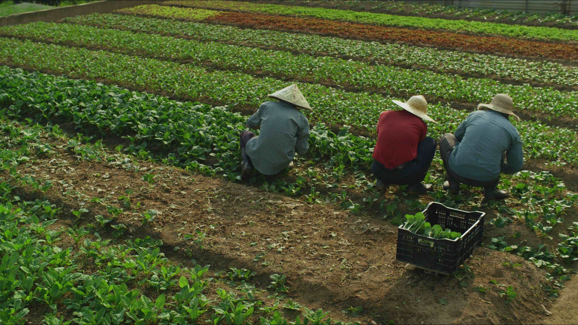 Funds from the 1% pledge will be used to support regenerative farming practices in the region