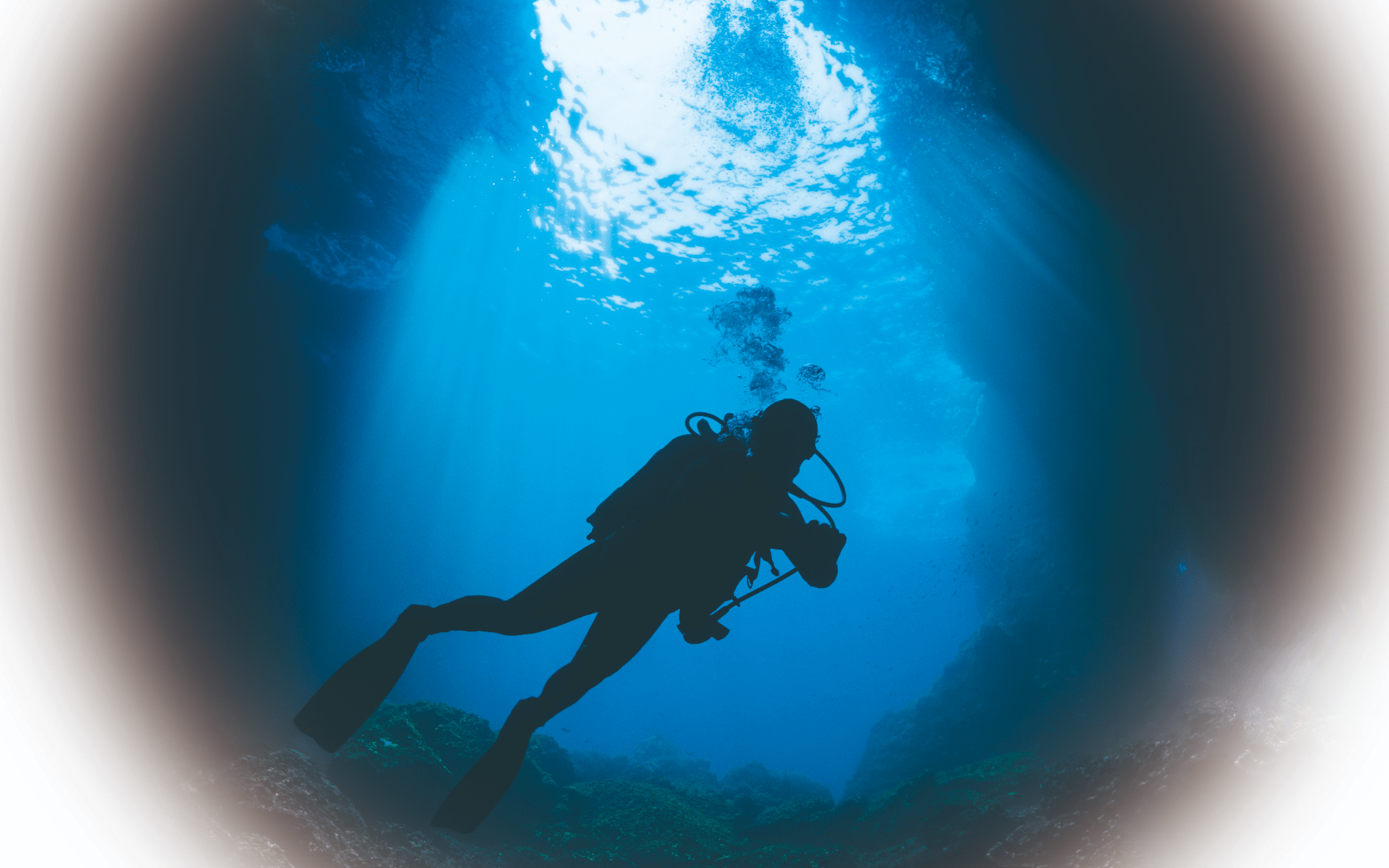 Seiko often subjects its dive watches to extreme conditions to test their reliability (Photo: Seiko)