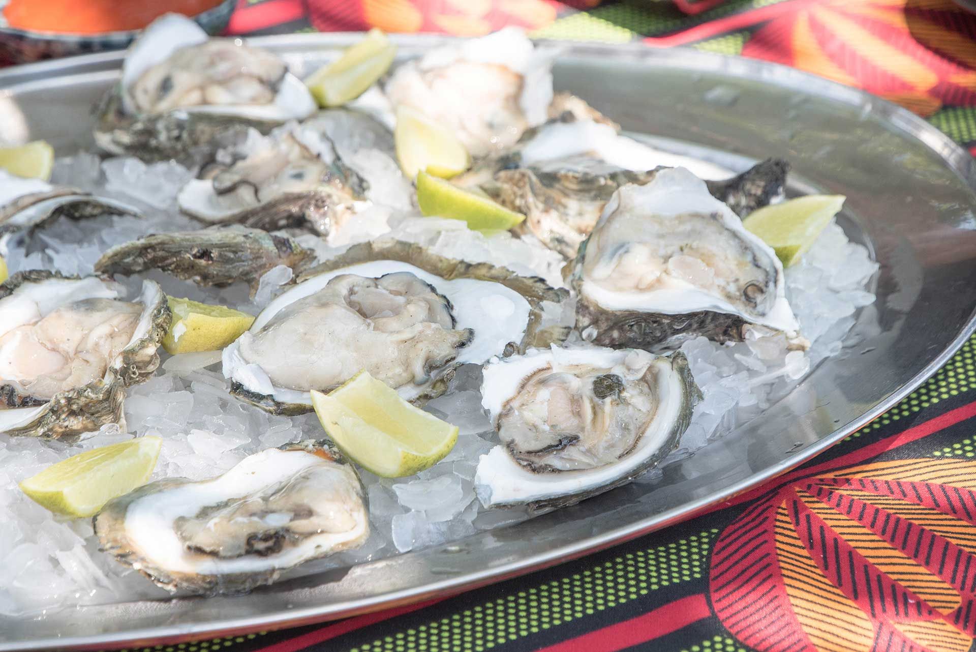 Fresh oysters
