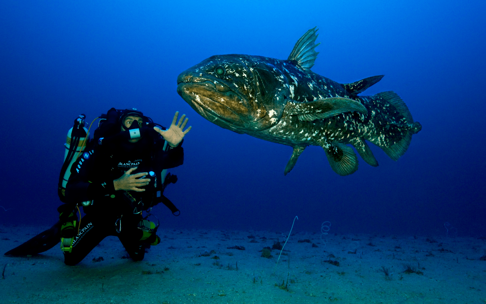 An image from the first Gombessa expedition in 2013 (Photo courtesy of Blancpain)