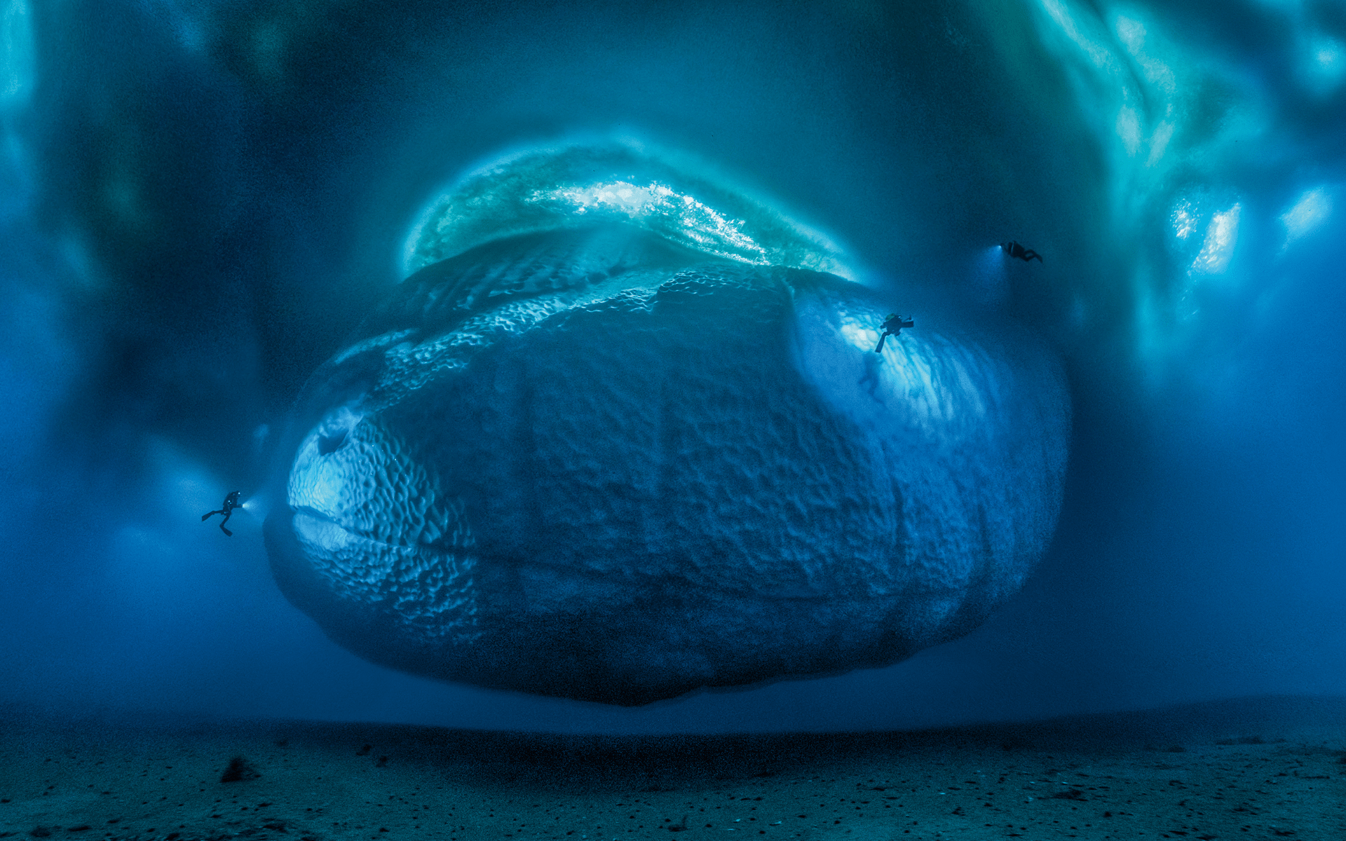 This image of the submerged part of an iceberg won Laurent Ballesta Wildlife Photographer of the Year prize (Photo courtesy of Blancpain)