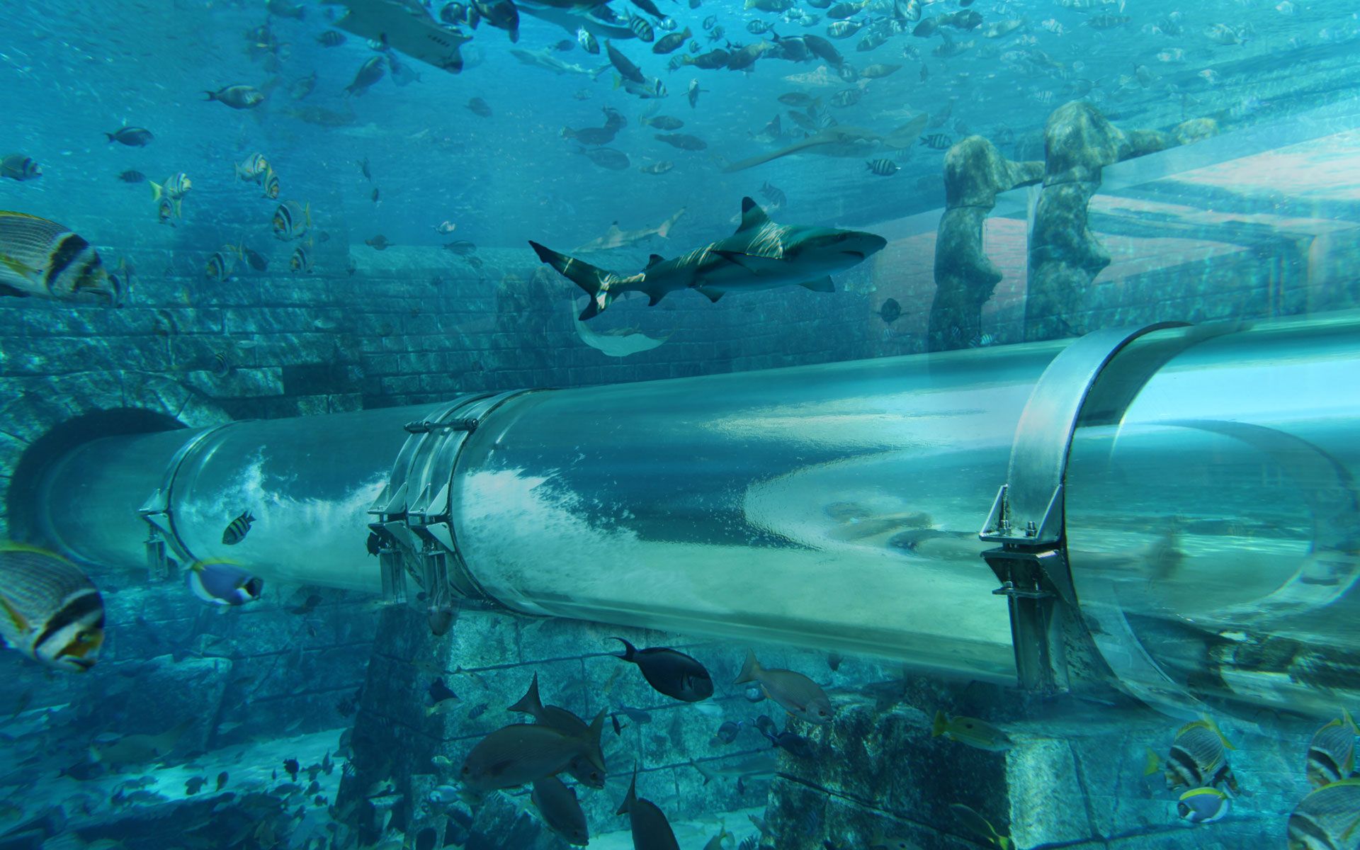 Glamping, Underwater Suites & Swimming With Sharks 8 Reasons To Spend