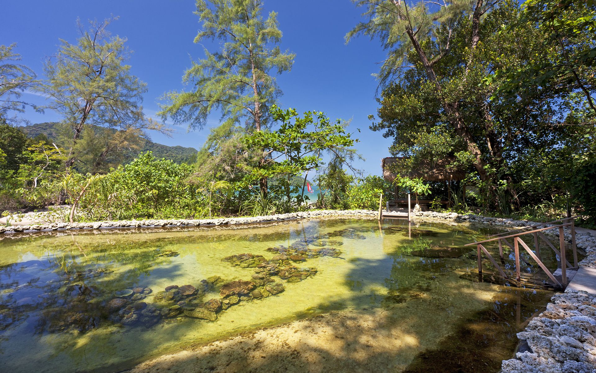 Coral Nursery