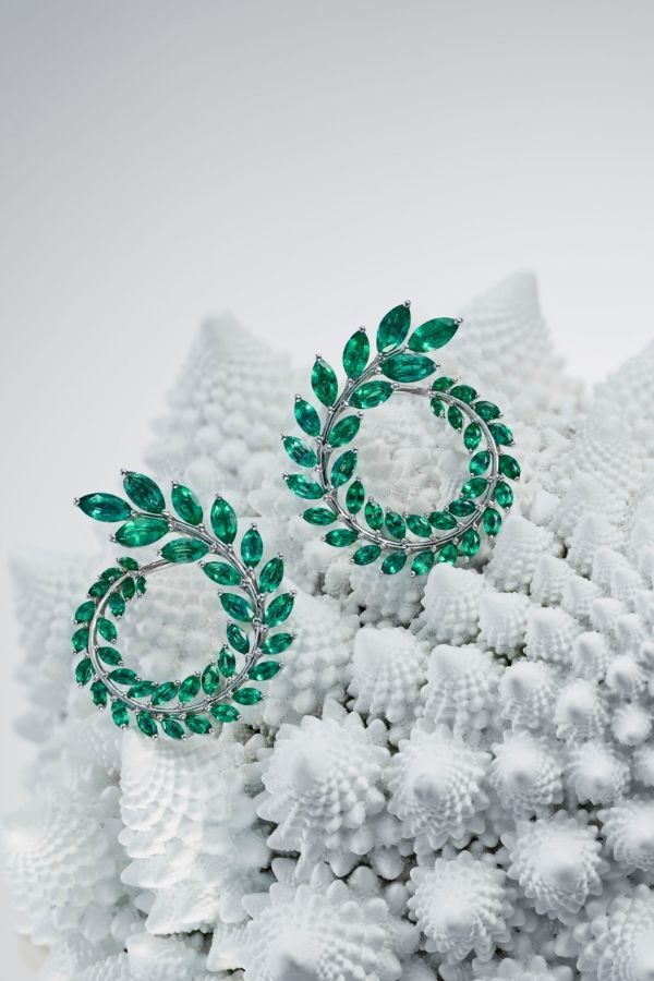 Earrings from Green Carpet Collection