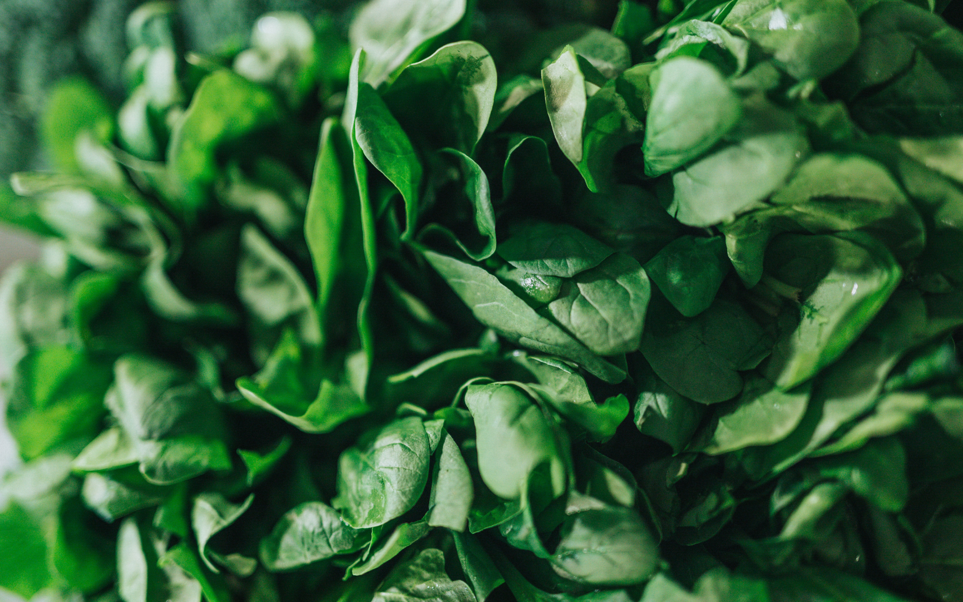 Photo: Nathan Dumlao on Unsplash