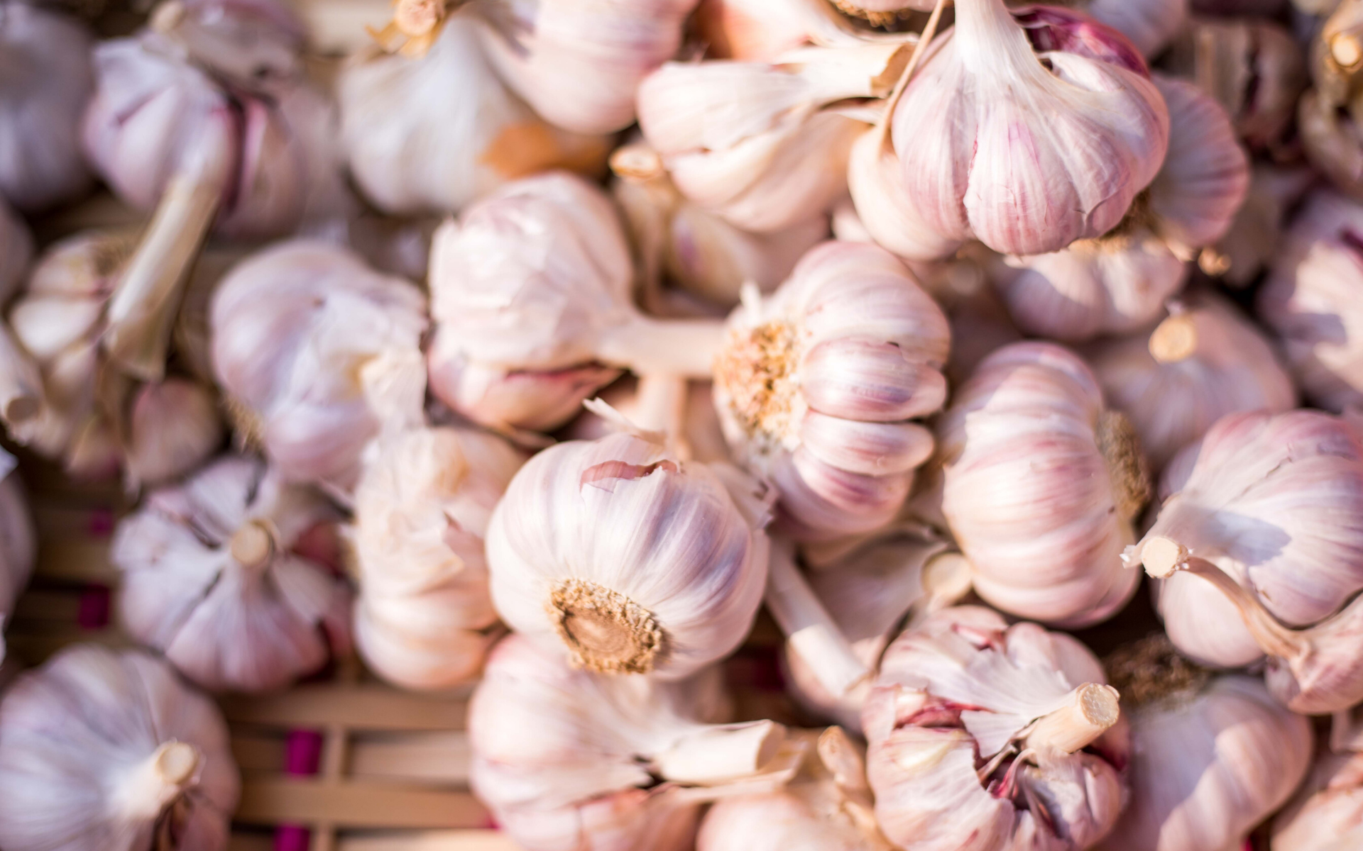 Photo: team voyas on Unsplash