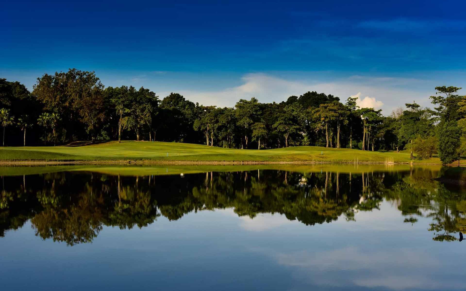 Photo: The Mines Resort & Golf Club