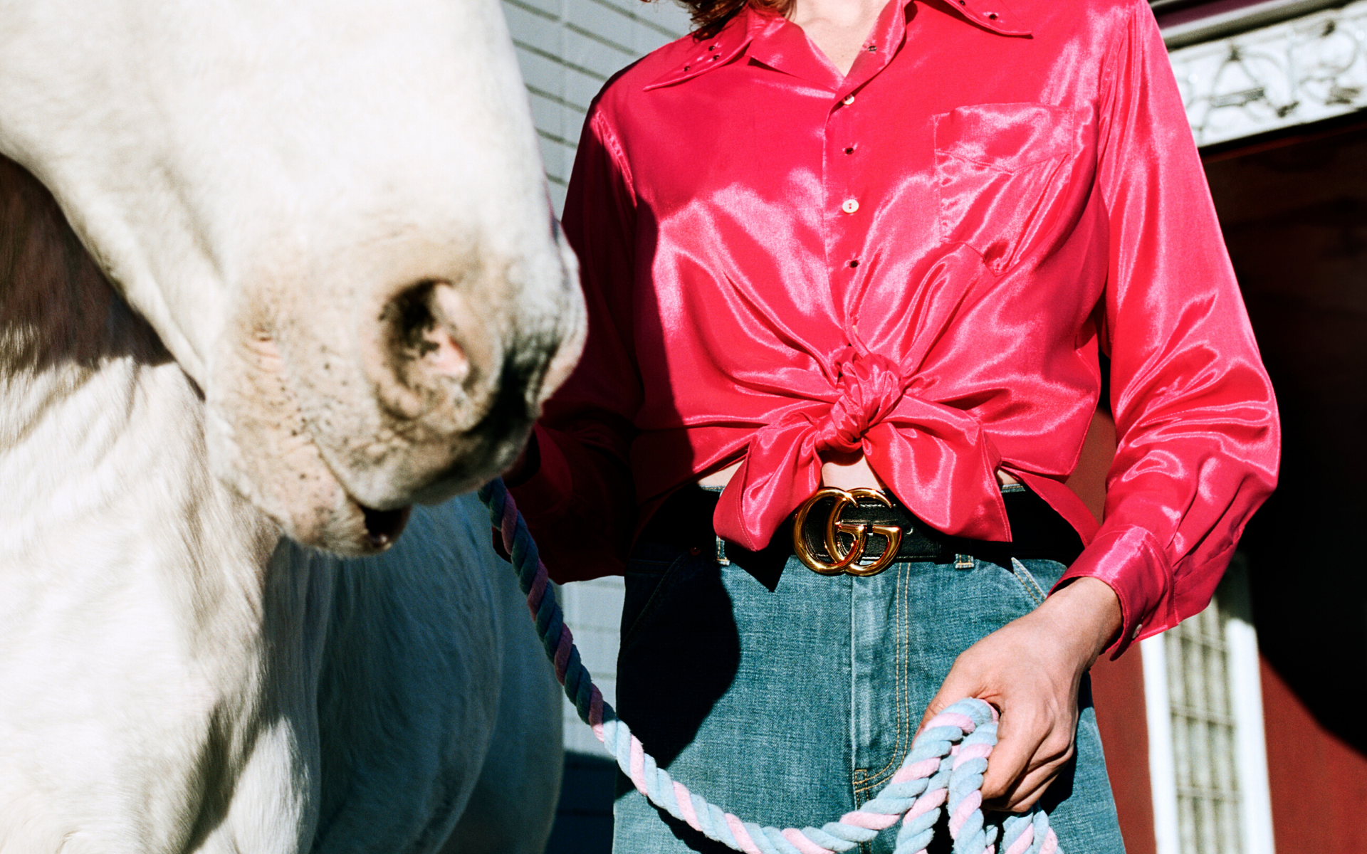 Photo: Gucci