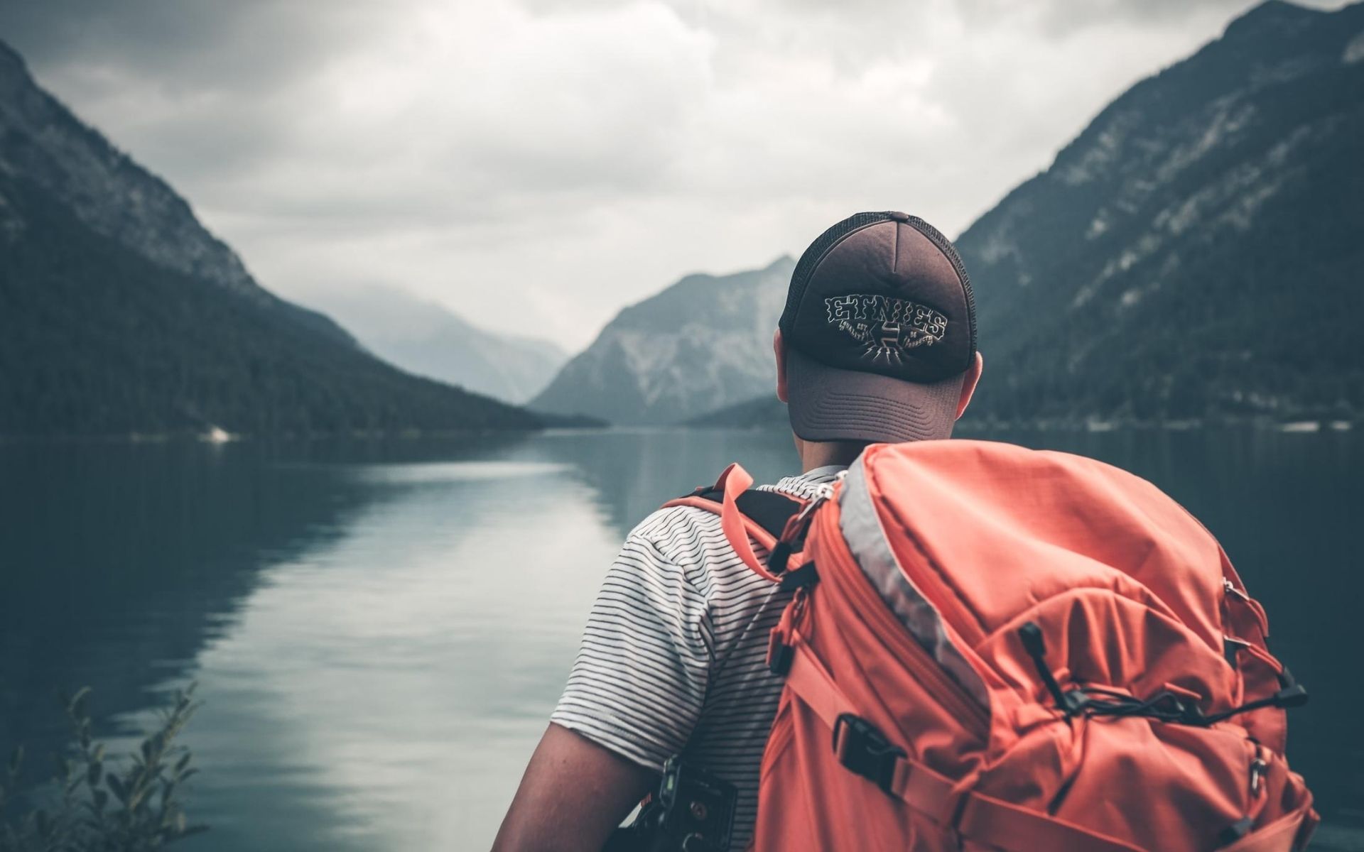Photo: Philipp Kämmerer/Unsplash
