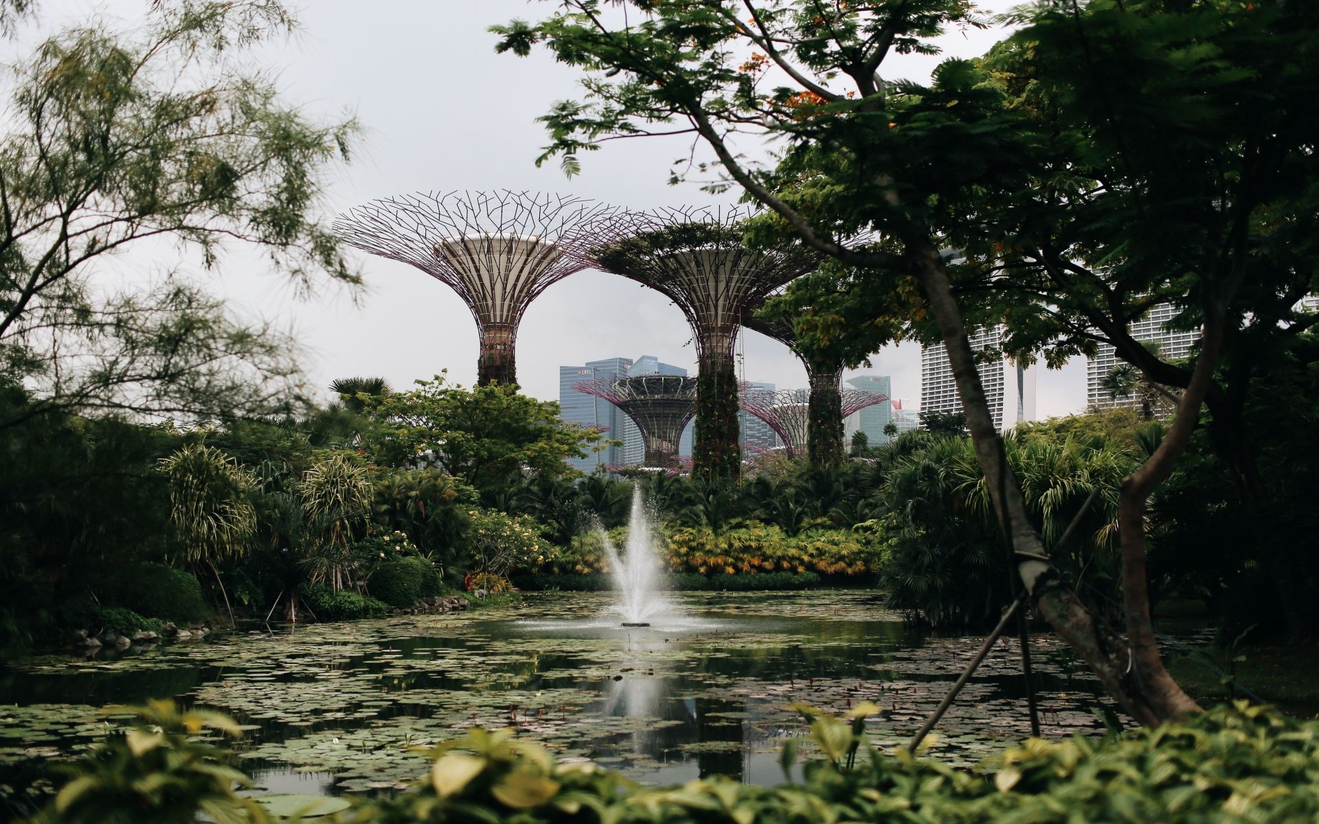 Travel Bubble Singapore