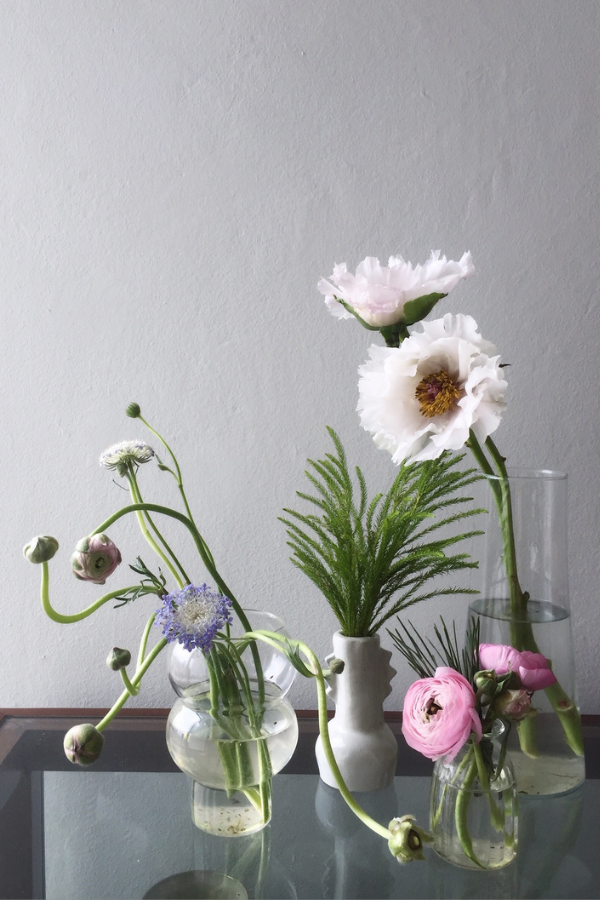 Small blooms to cheer up little corners
