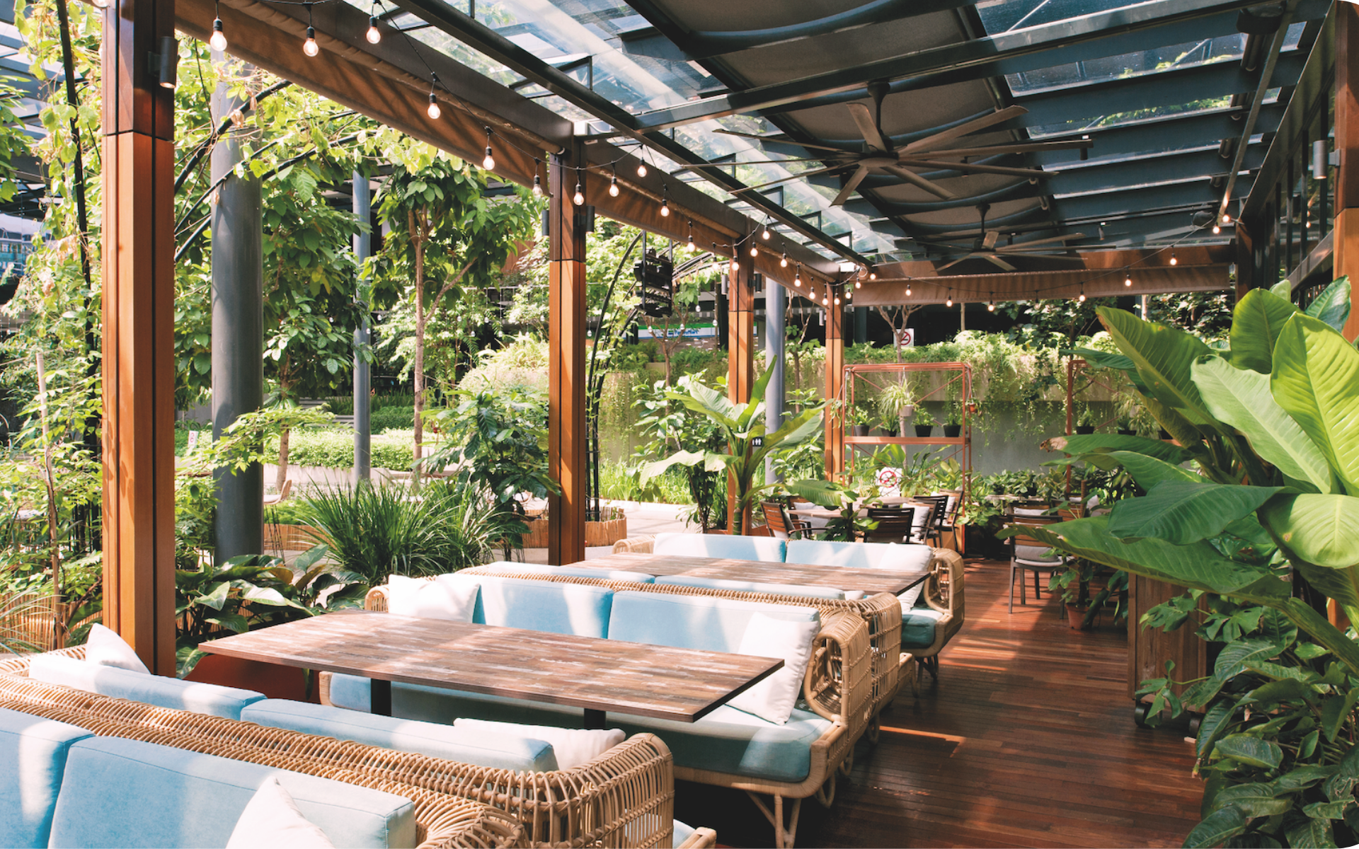 Seshan Design's lush urban farm, The Farm Foodcraft