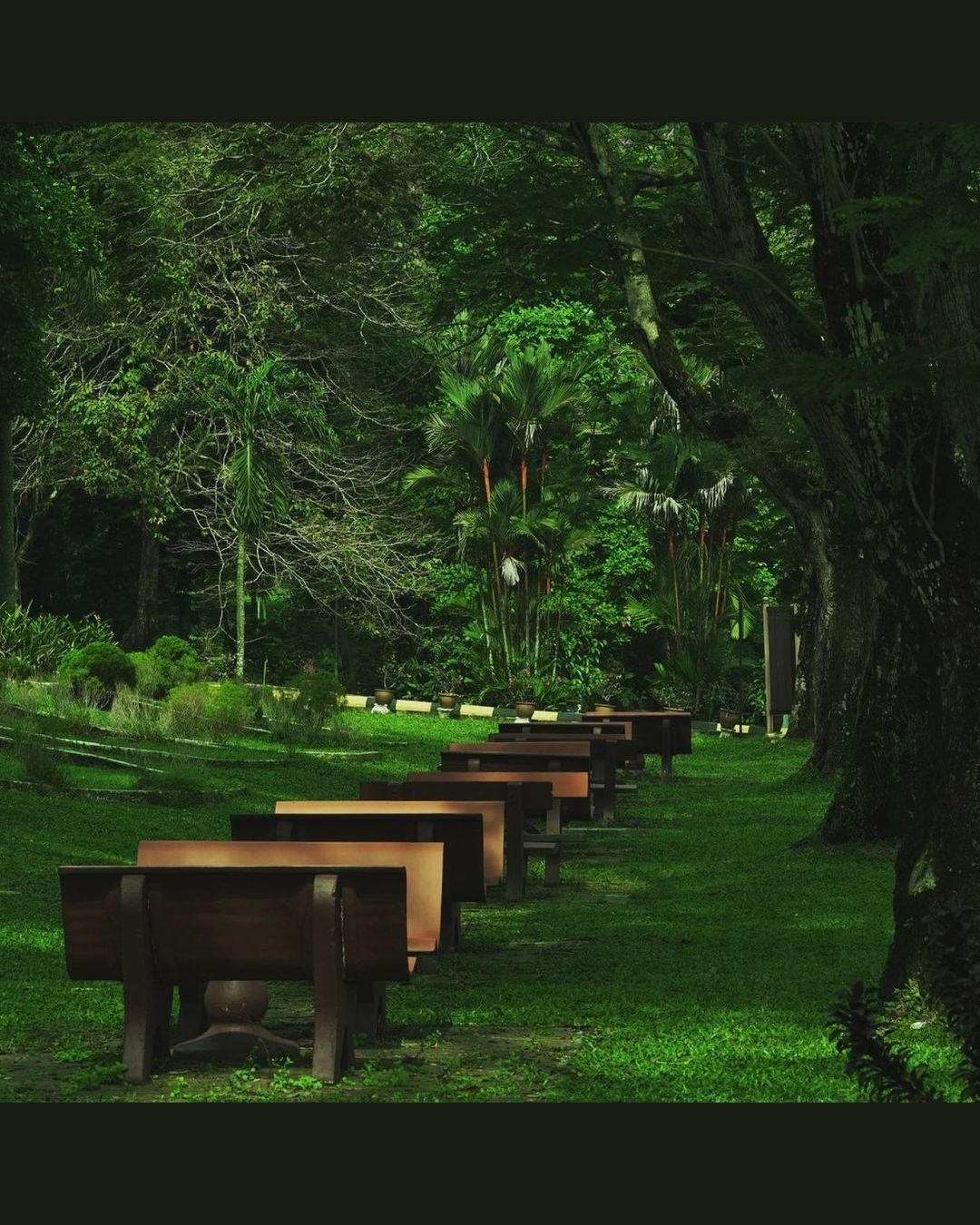 Photo: @unimalaya/Instagram