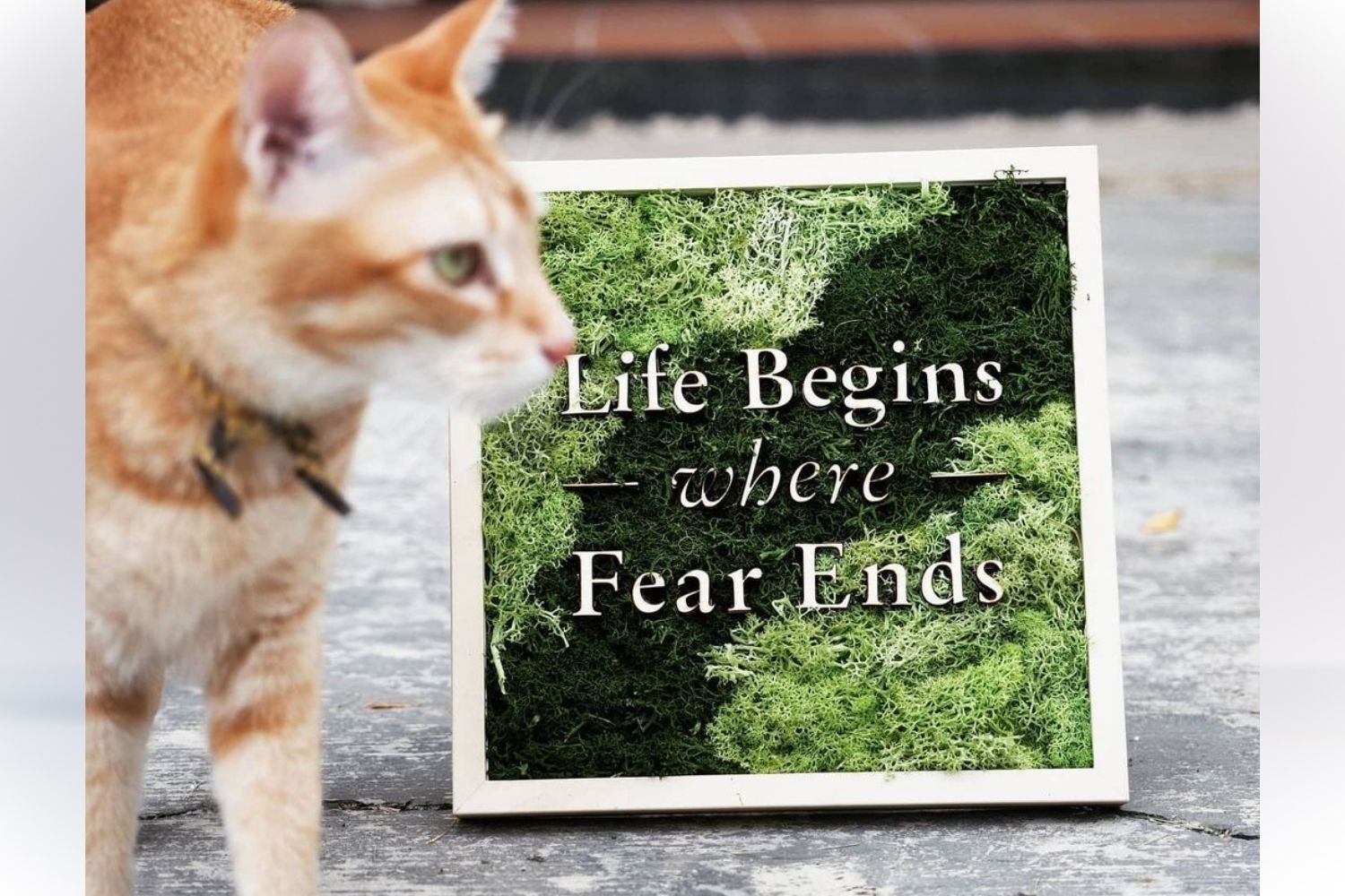 Plant Lovers On Instagram 7 Fun Accounts To Follow If You Love Plants