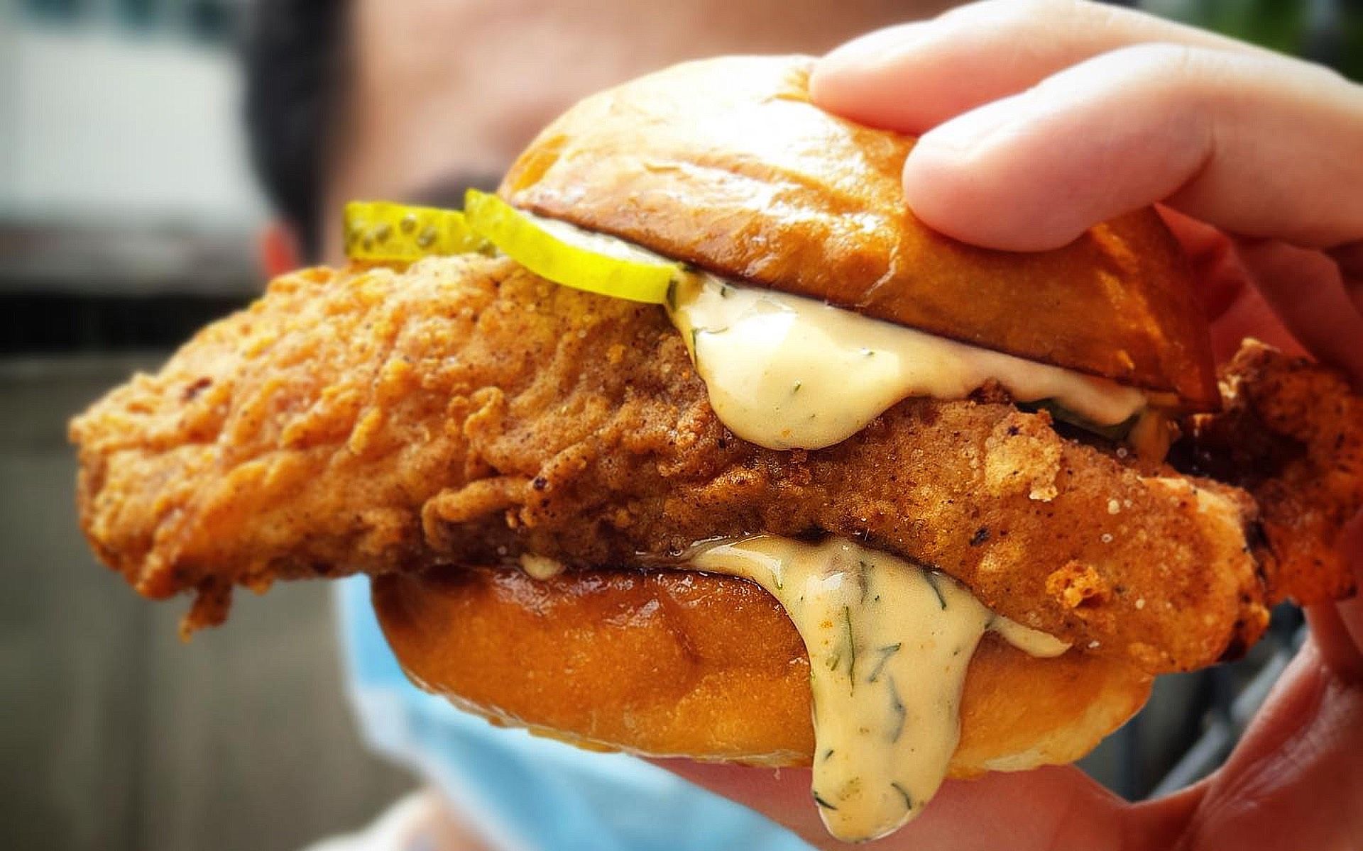 Alta Chicken Burger by Alta Café/Sitka Studio-Restaurant