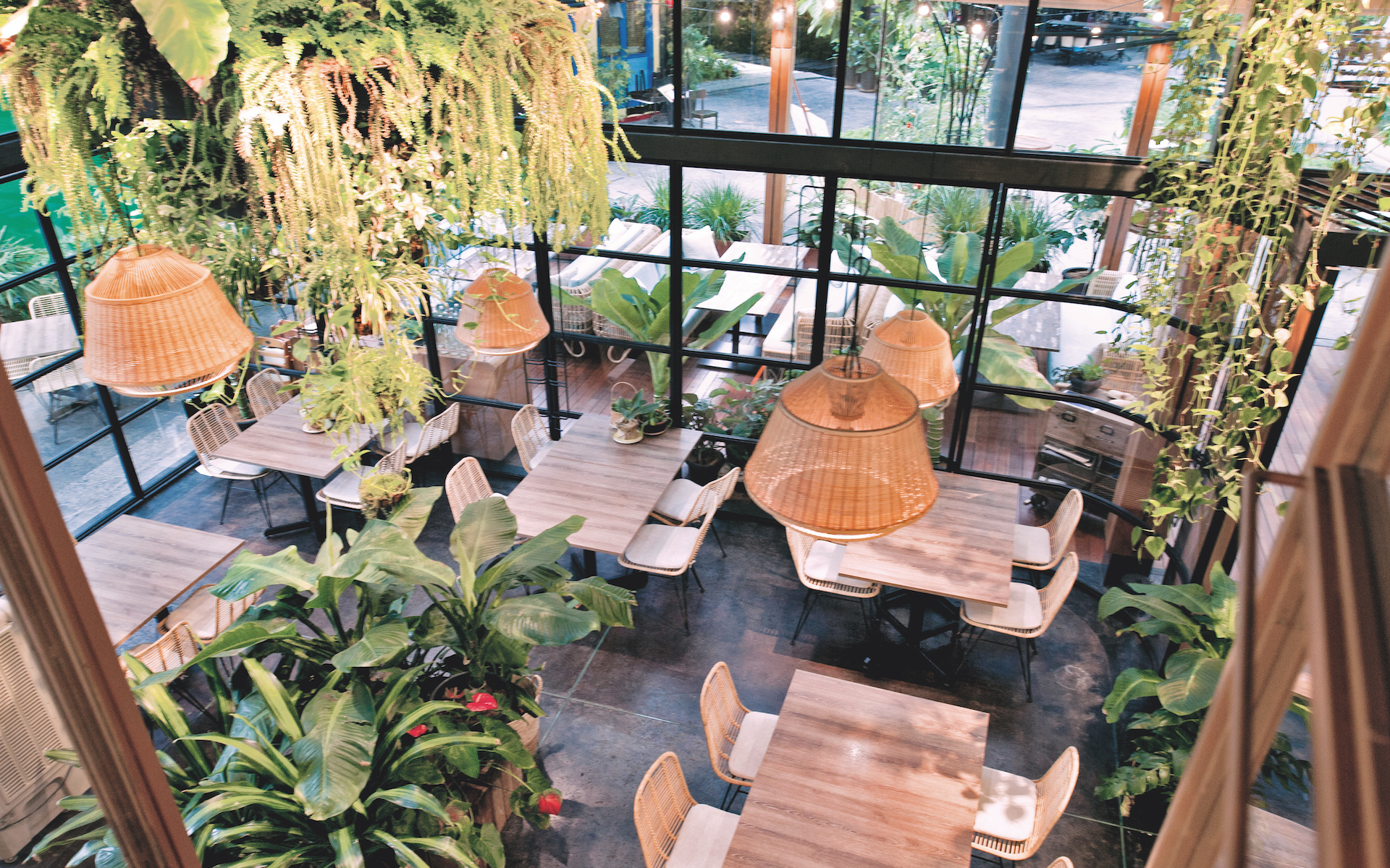 A custom made chandelier with live plants growing out of it is the focal point of the double height dining space