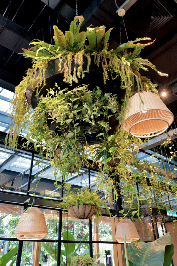 A close up of the "live" chandelier