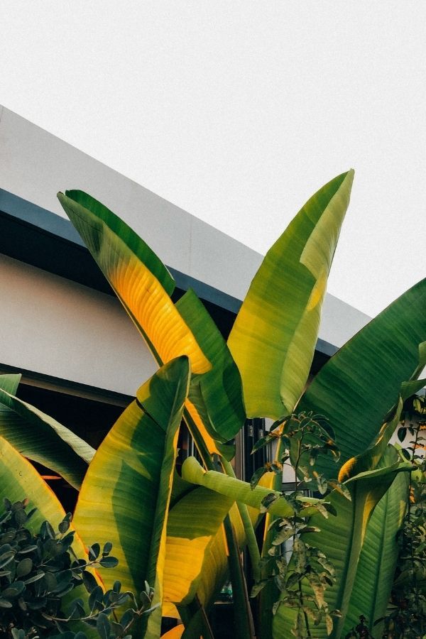 Photo: Unsplash