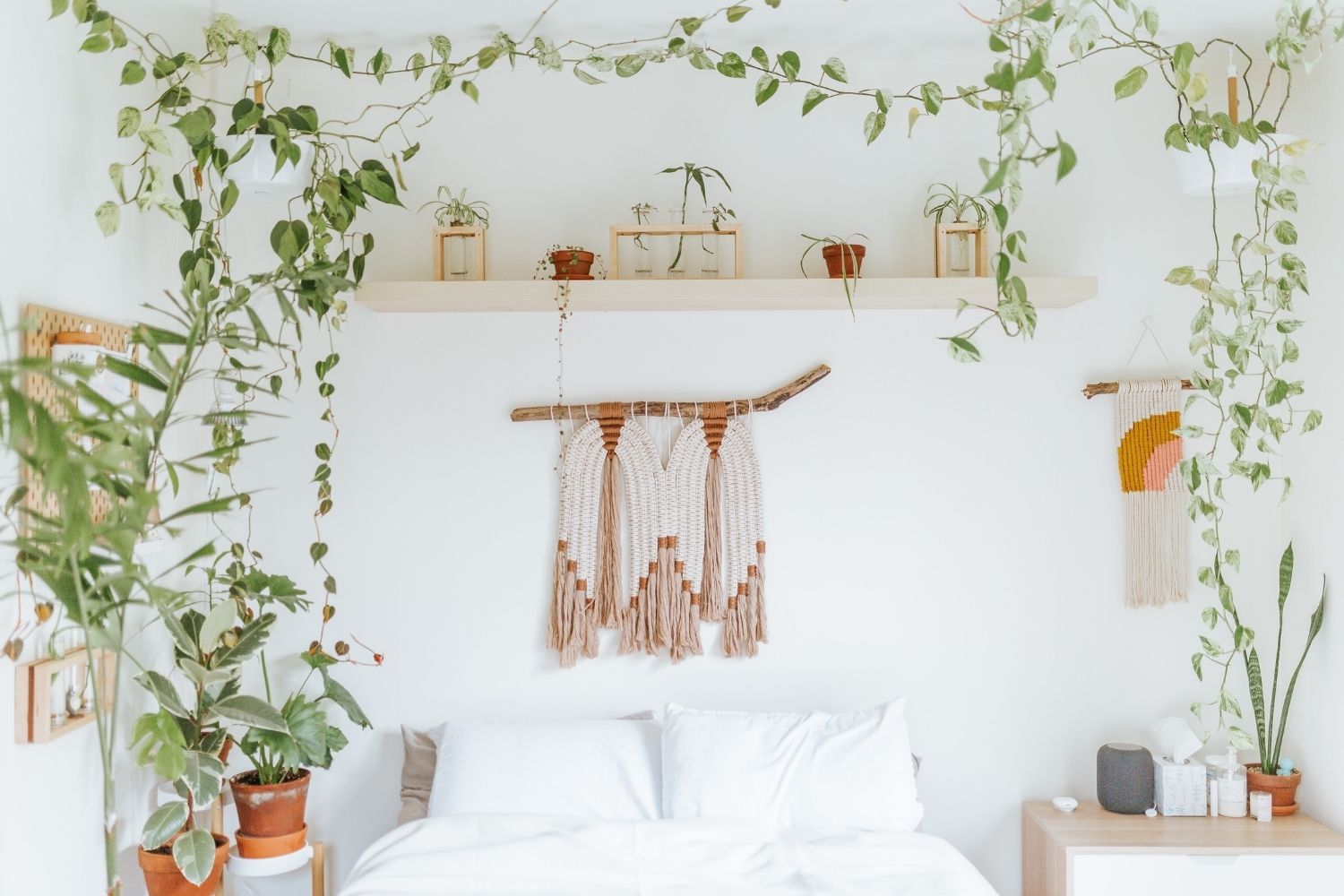 Photo: Unsplash
