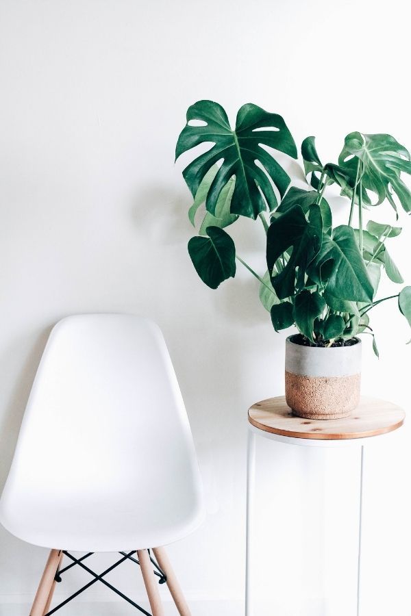 Photo: Unsplash