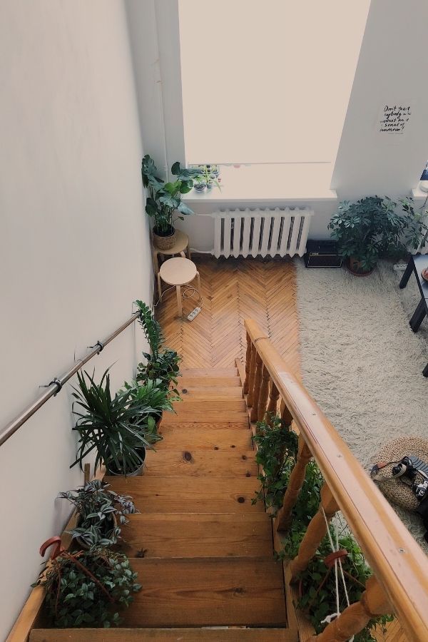 Photo: Canva