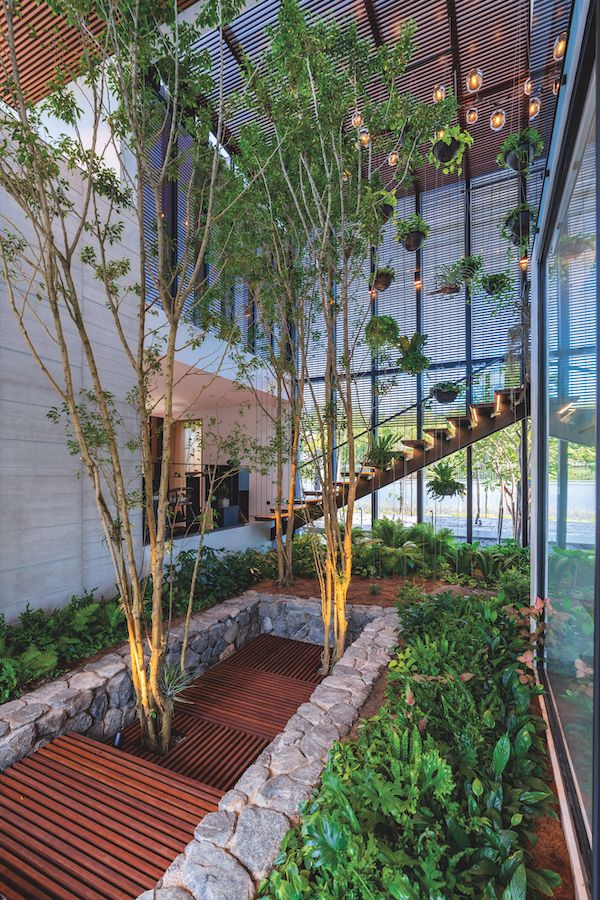 Full height trees and lush greenery take pride of place in Teresa’s interior courtyard
