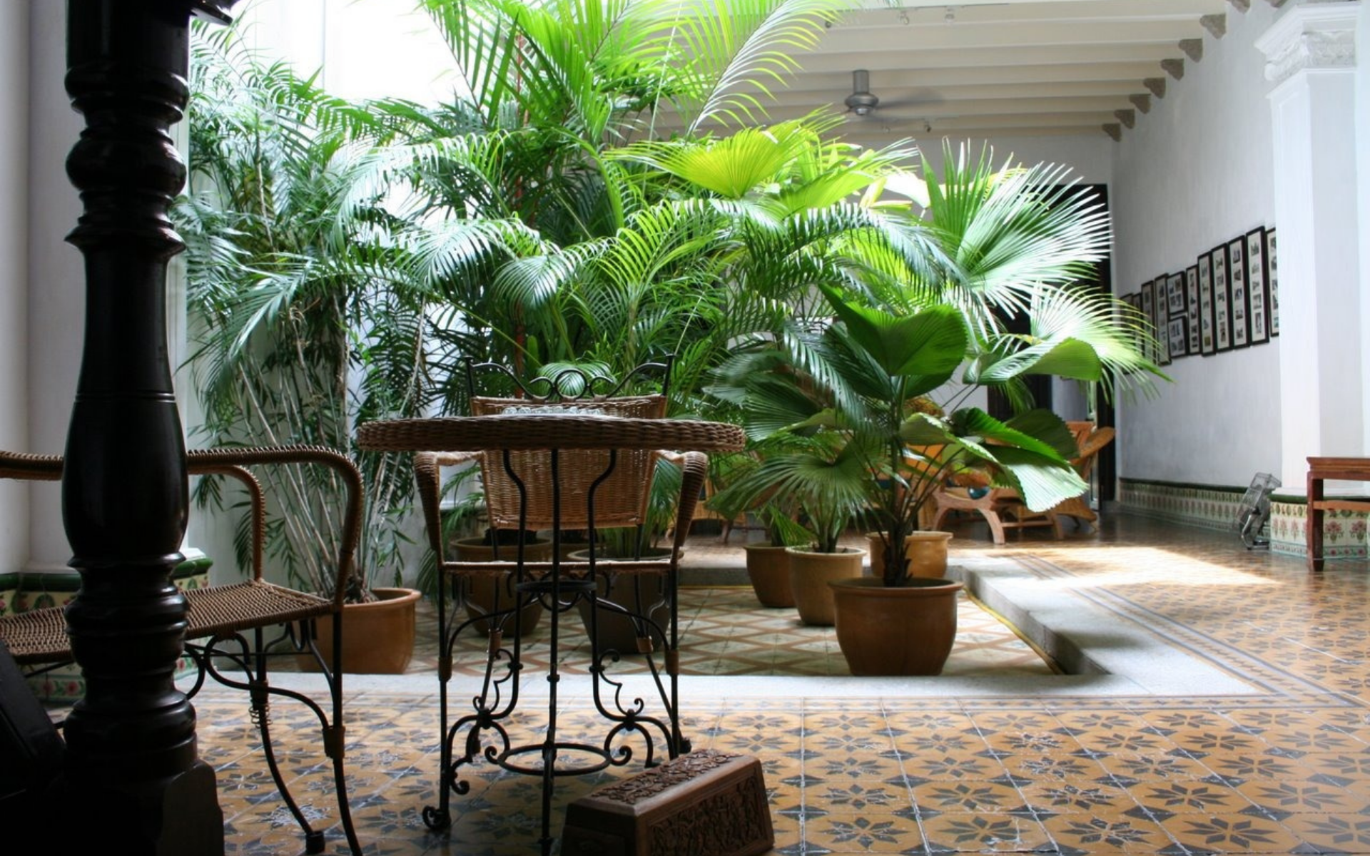 Lush greenery populate the large internal courtyard in The Snail House/ Image by Tham Ze Hoe