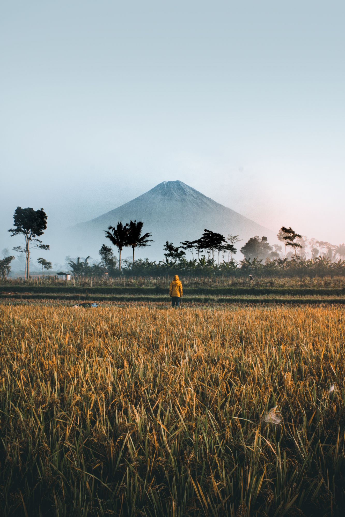 Langit Collective's Taste of Travel - A Libur Indonesia Food Kit collects distinct tastes from Indonesia (Photo: Unsplash)