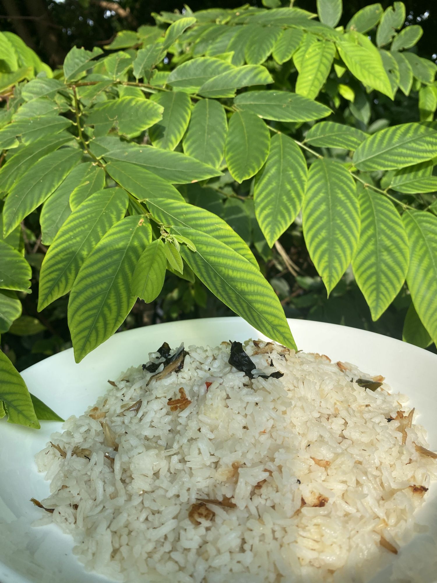 The Nasi Liwet in the Taste of Travel kit