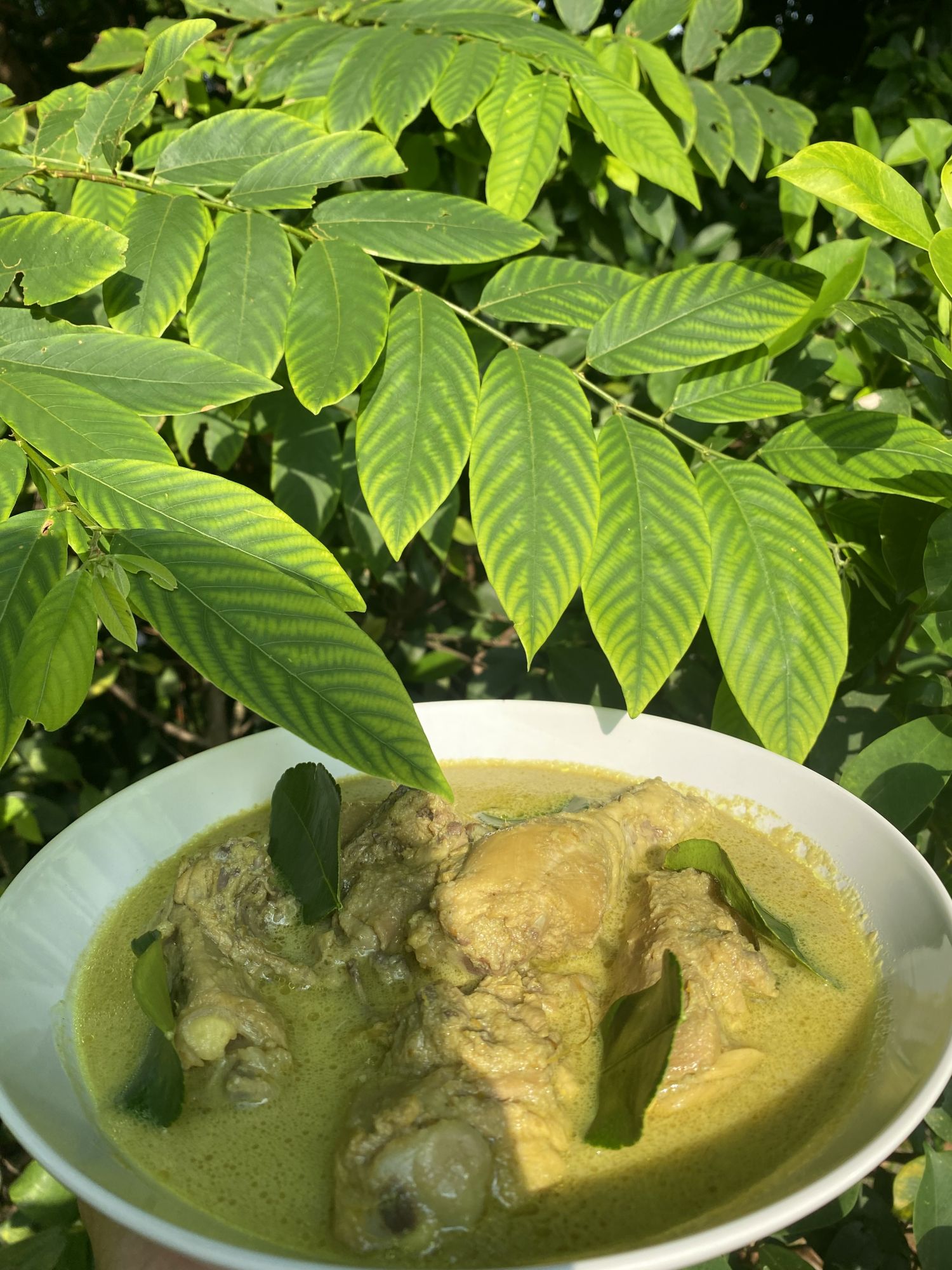 The Javanese Opor Chicken in the Taste of Travel kit
