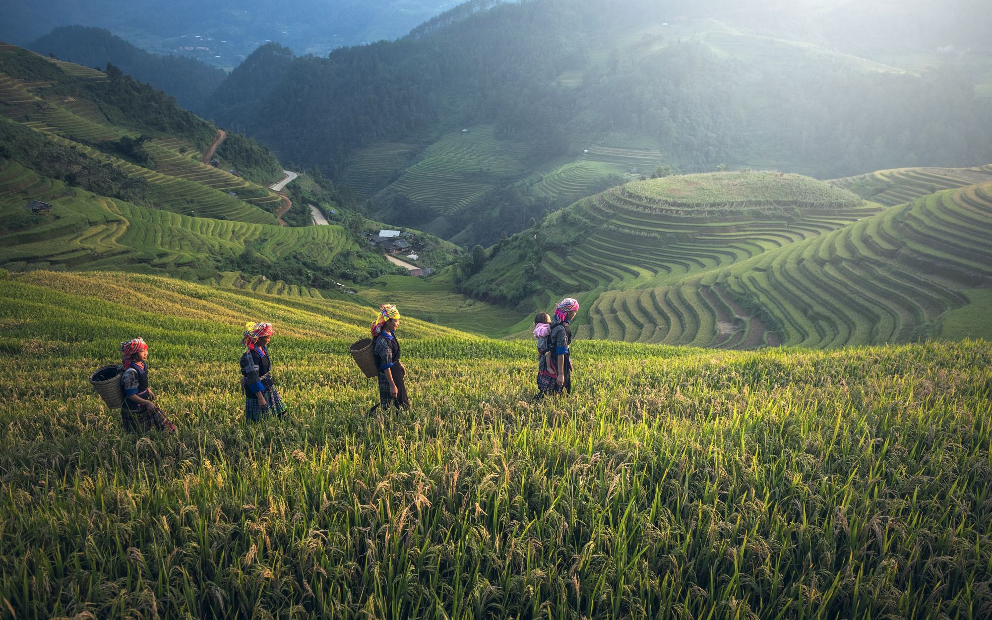 5 Reasons Why Eating Less Meat Helps The Environment Tatler Asia