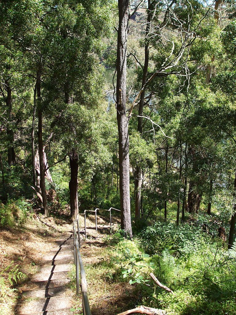 Budj Bim National Park, Australia (Image: Wikimedia Commons)